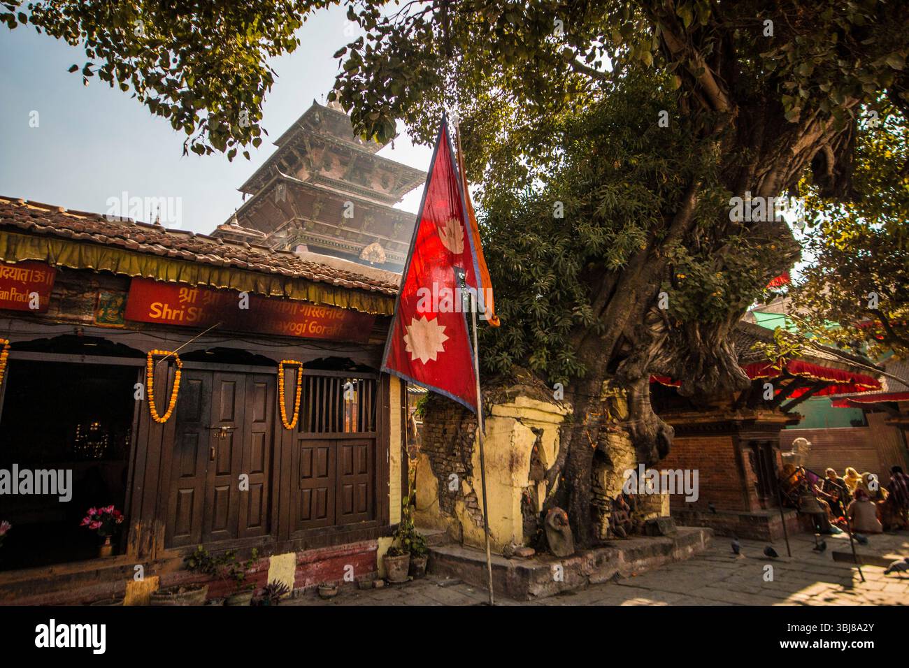 Taleju Bhawani Tempel vom Hanumandhoka Durbar Platz aus gesehen, eingerahmt von einer nepalesischen Flagge und einem Baum, der aus Ruinen in Kathmandu, Nepal, wächst Stockfoto