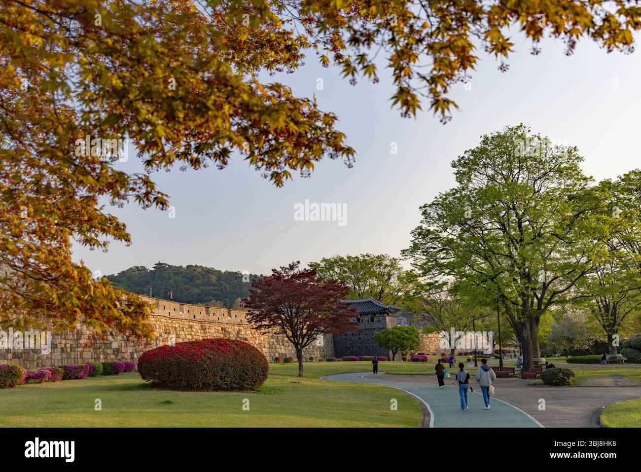 Menschen, die durch den Park vor den Stadtmauern der Festung Hwaseong (UNESCO-Weltkulturerbe) in Suwon, Provinz Gyeonggi, Südkorea laufen Stockfoto