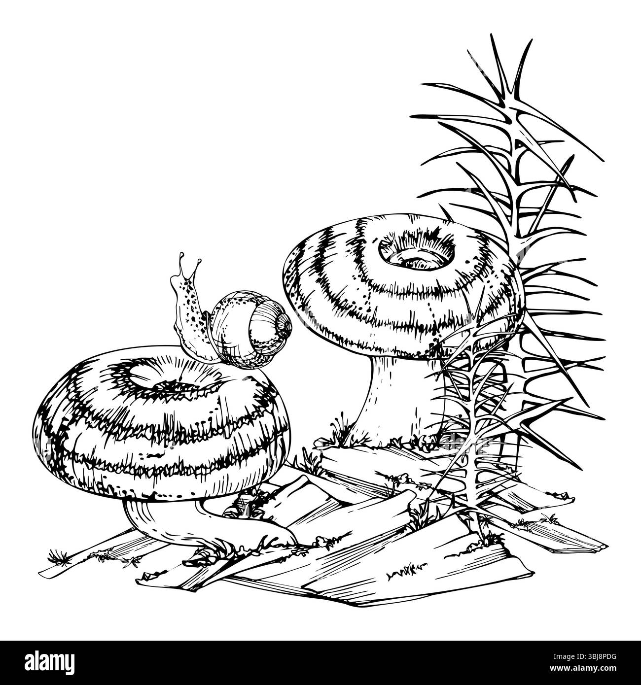 Lactarius Milchkappen-Russula gestreifter Pilzpilz, Schnecke auf Kappe, Schachtelhalm auf Rinde mit Moosflechten wuchs. Illustration handgezeichnet im Vektor Stock Vektor