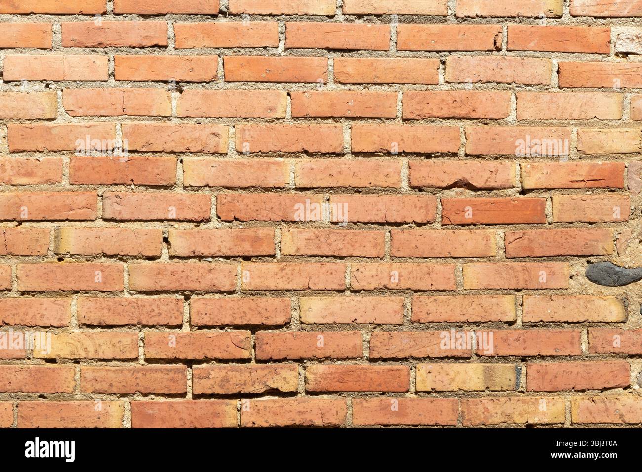 Eine verwitterte Ziegelwand zeigt eine Vielzahl von Braun- und Orangetönen, die die Textur und die einzigartigen Muster hervorheben, die sich im Laufe der Zeit gebildet haben. Stockfoto
