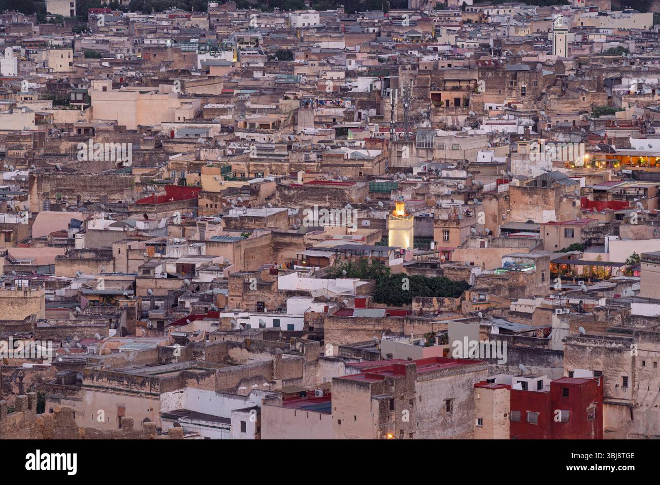 Fès, Marokko. Aus der Vogelperspektive auf das dichte Labyrinth aus Dächern und Gassen in der Abenddämmerung, das das architektonische Chaos Nordafrikas hervorhebt Stockfoto