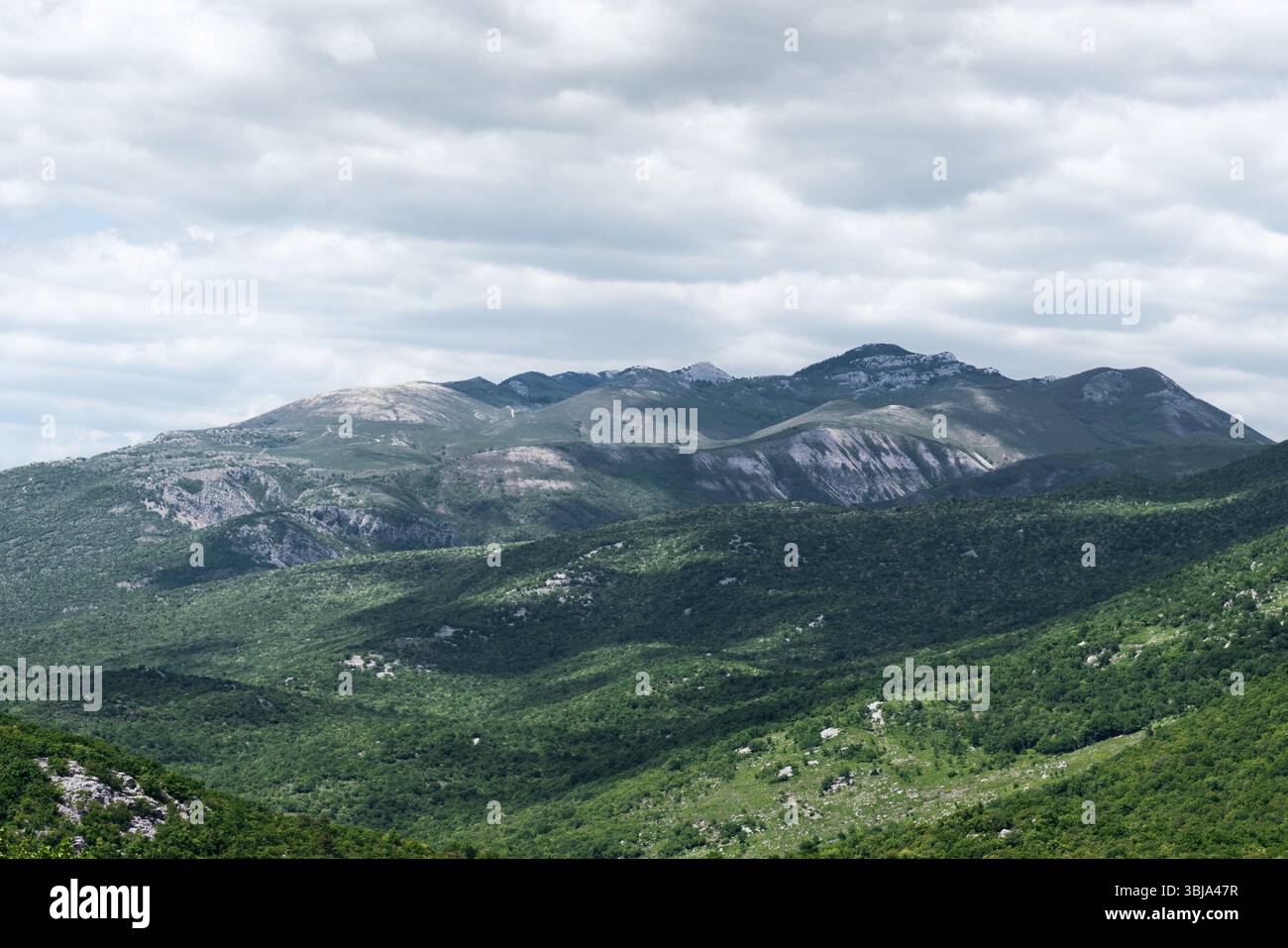 Üppig grüne Berge ragen unter einem bewölkten Himmel auf und bieten eine wunderschöne Landschaft mit vielfältigen Texturen und natürlicher Schönheit. Stockfoto