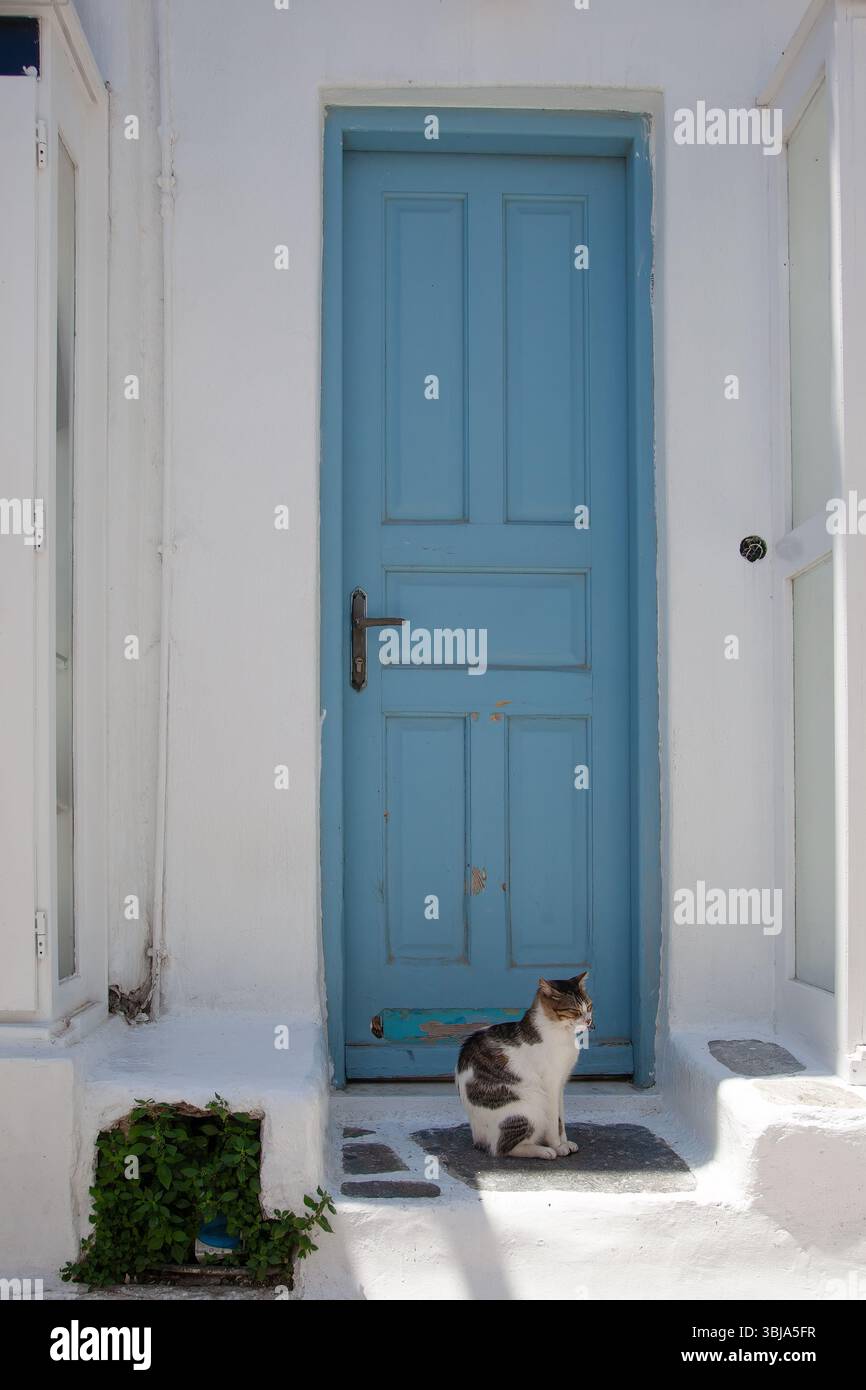 Katze in der Tür, Mykonos, Griechenland Stockfoto
