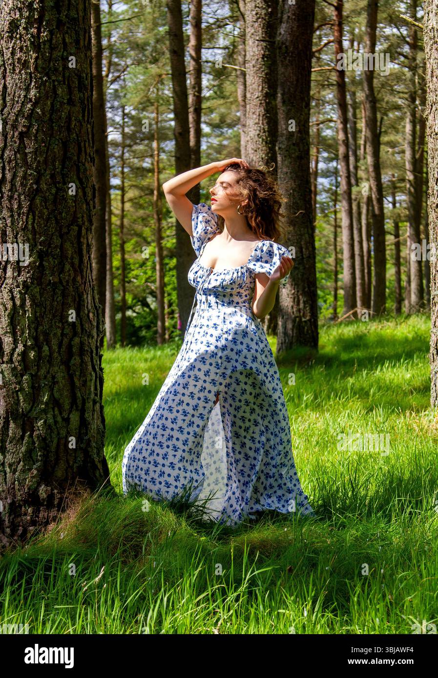 In den Angus Glens in der Nähe von Kirriemuir posiert eine attraktive Frau in der luftigen Frühlingssonne in den Wäldern von Glen Clova in Schottland, Großbritannien Stockfoto