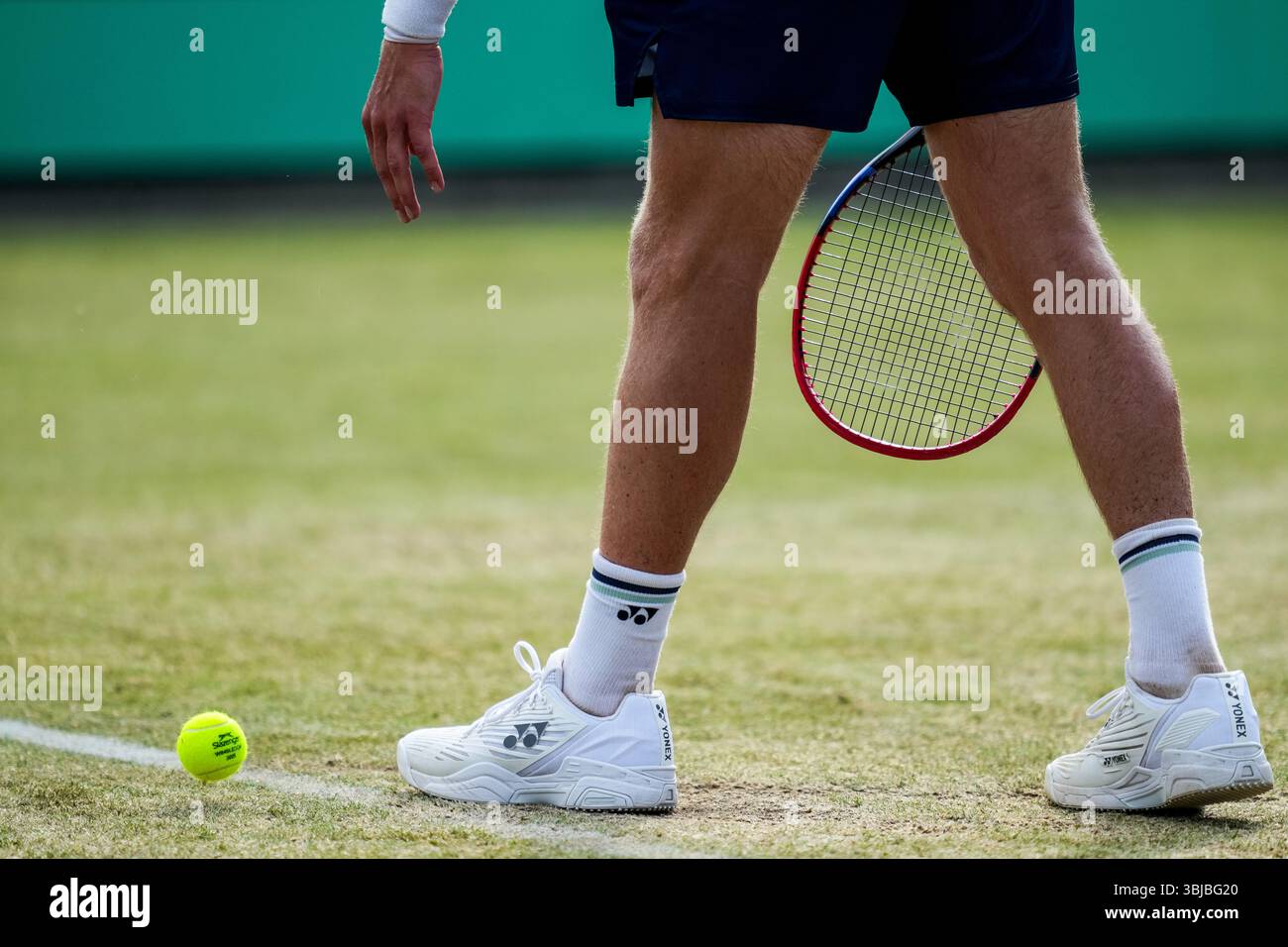 'S-HERTOGENBOSCH, NIEDERLANDE - 13. JUNI: Detailansicht eines Tennisballs von Slazenger Wimbledon 2025 und der Yonex-Tennisschuhe, die Zizou Bergs aus Belgien bei seinem Spiel im Viertelfinale der Männer gegen Mark Lajal aus Estland am 5. Tag der Libema Open Grass Court Championships am Autotron am 13. Juni 2025 in 's-Hertogenbosch, Niederlande getragen hat. (Foto: Rene Nijhuis) Credit: René Nijhuis/Alamy Live News Stockfoto