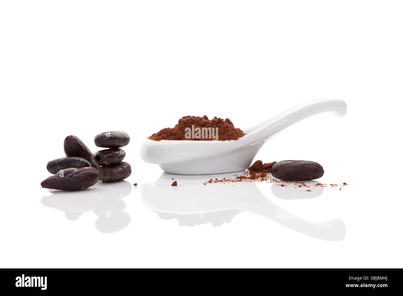 Kakaobohnen und Kakaopulver in weißer Schüssel und weißem Löffel auf weißem Hintergrund. Gesundes Superfood Stockfoto