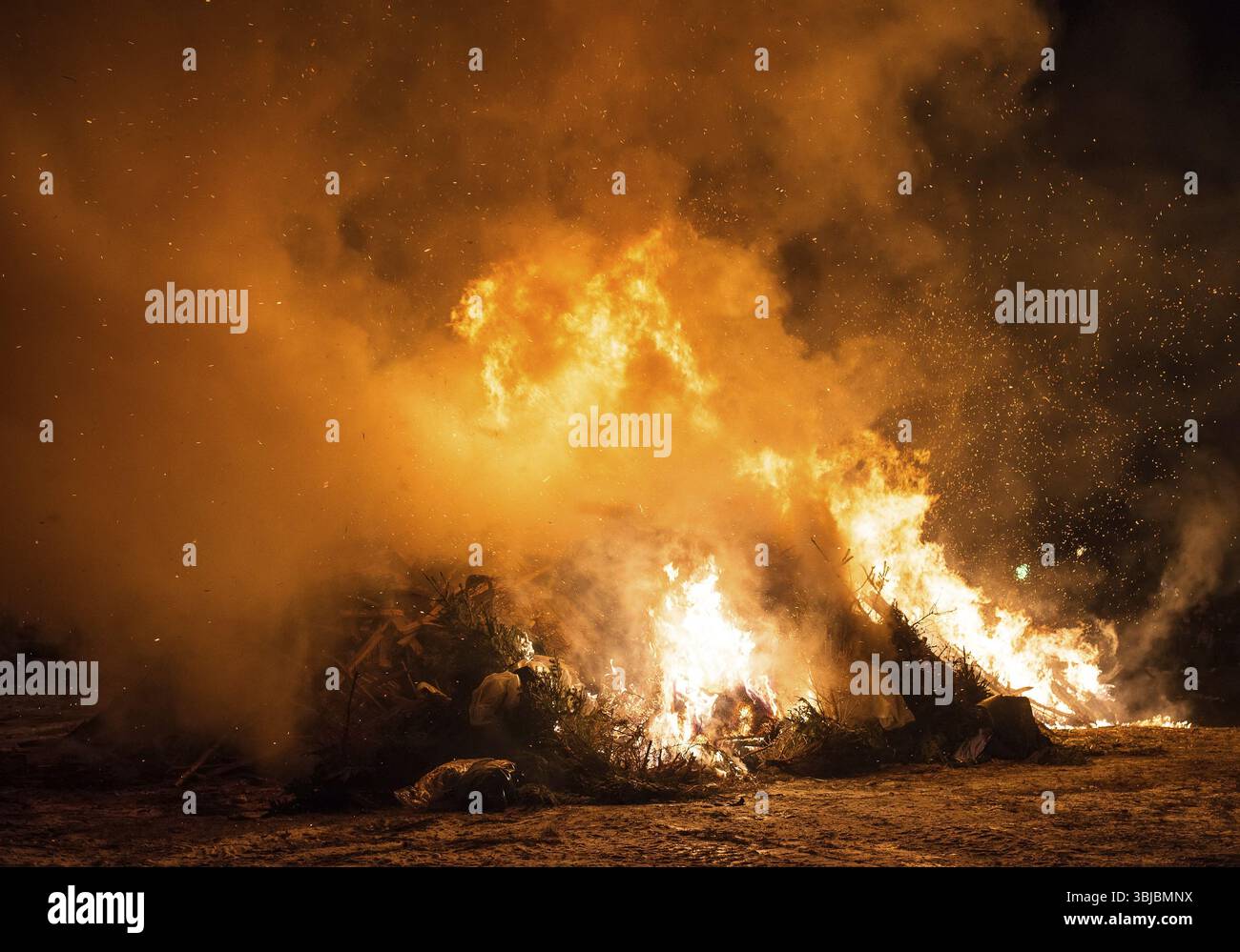 Abfallverbrennung. Verbrennung von Müll und alten Bäumen Stockfoto