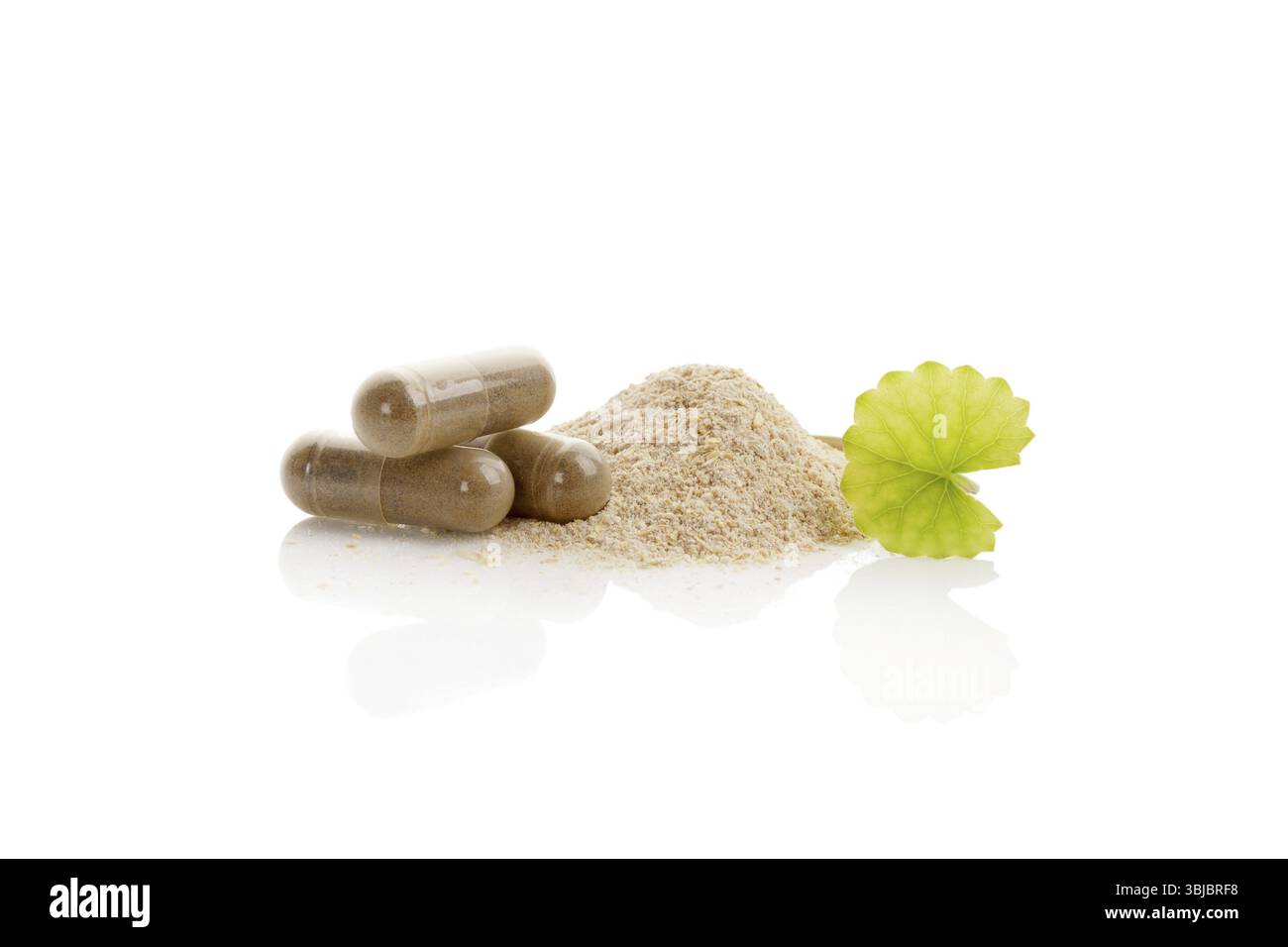 Gotu Kola Kapseln und Pulver mit Gotu Kola Blatt. Asiatische Pennywort. Auf weissem Hintergrund Stockfoto