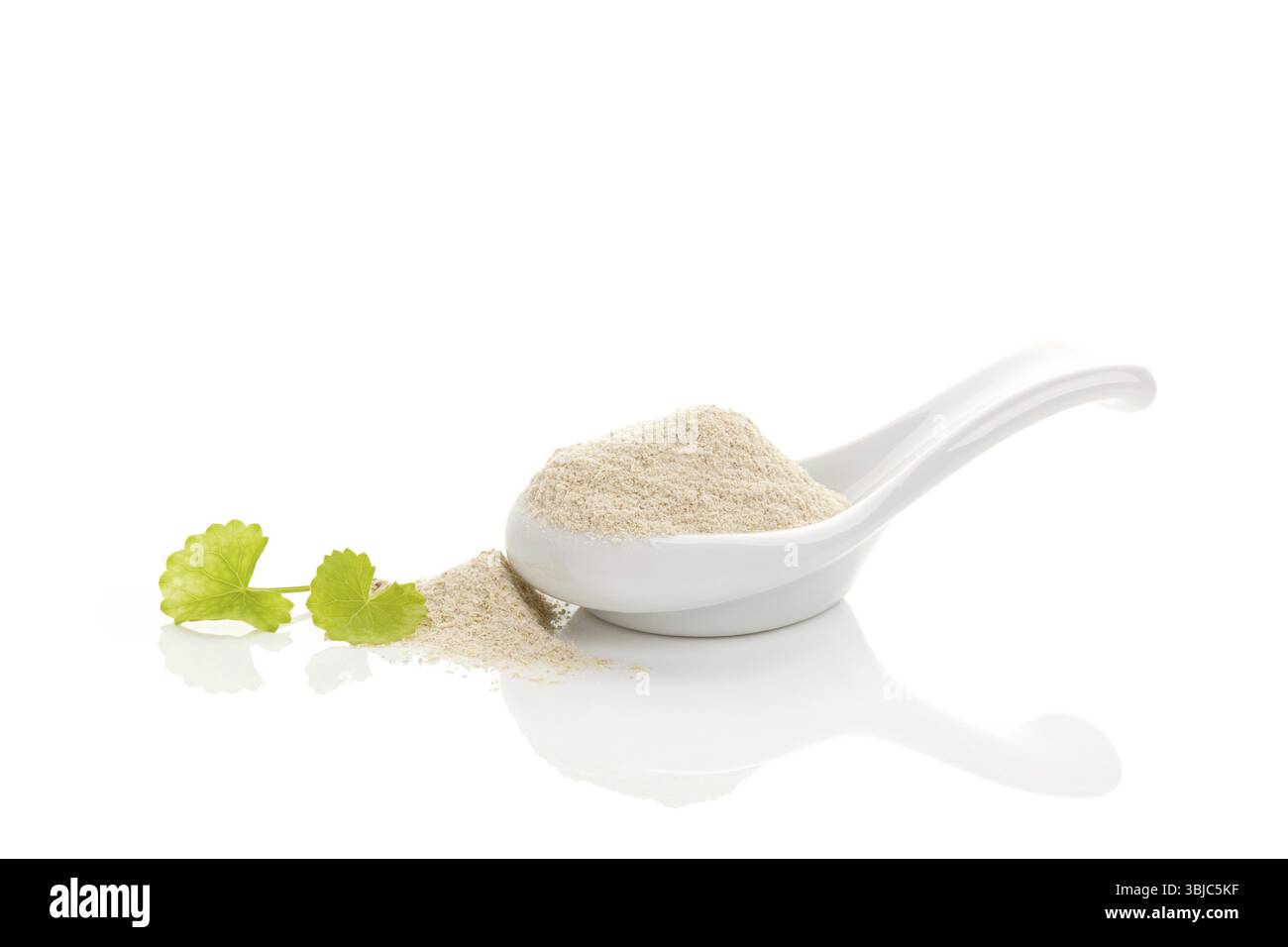 Asiatisches Pennywort Gotu Kola Pulver in weißem Löffel, isoliert auf weißem Hintergrund. Alternative Medizin, Naturheilmittel, Heilkraut Stockfoto