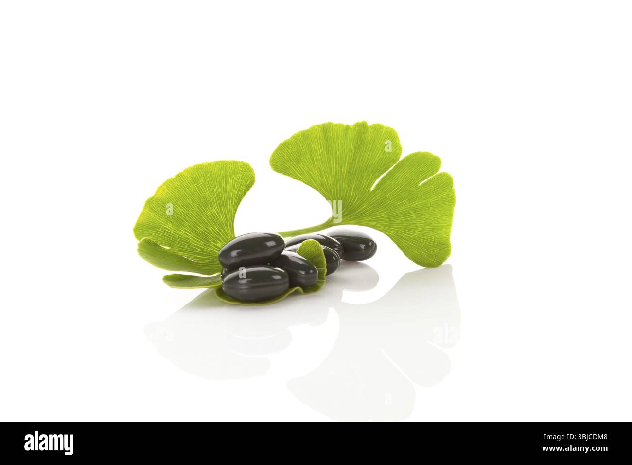 Ginkgoblätter mit Gelkapseln auf weißem Hintergrund mit Reflexion. Alternative Medizin, Nahrungsergänzungsmittel Stockfoto