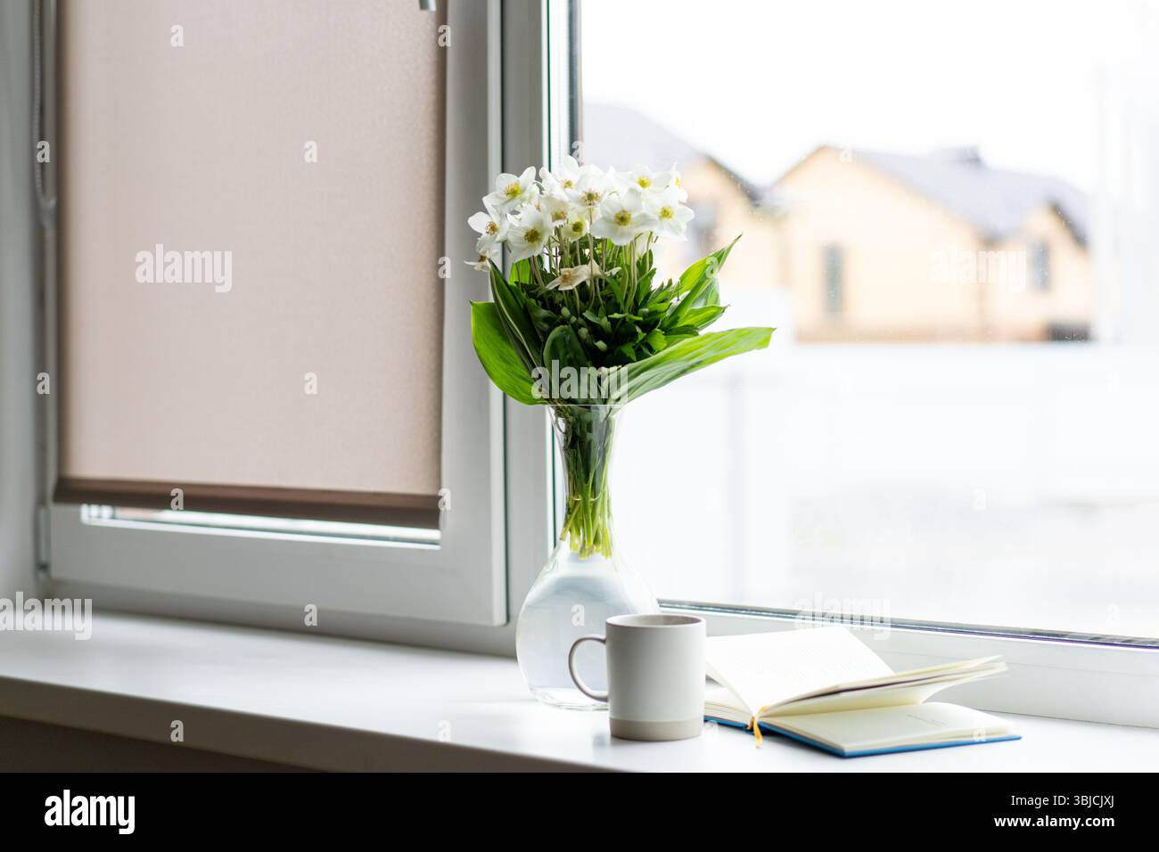 Buch, Tasse Tee und weiße Blume Helleborus niger. Romantisches Konzept Stockfoto