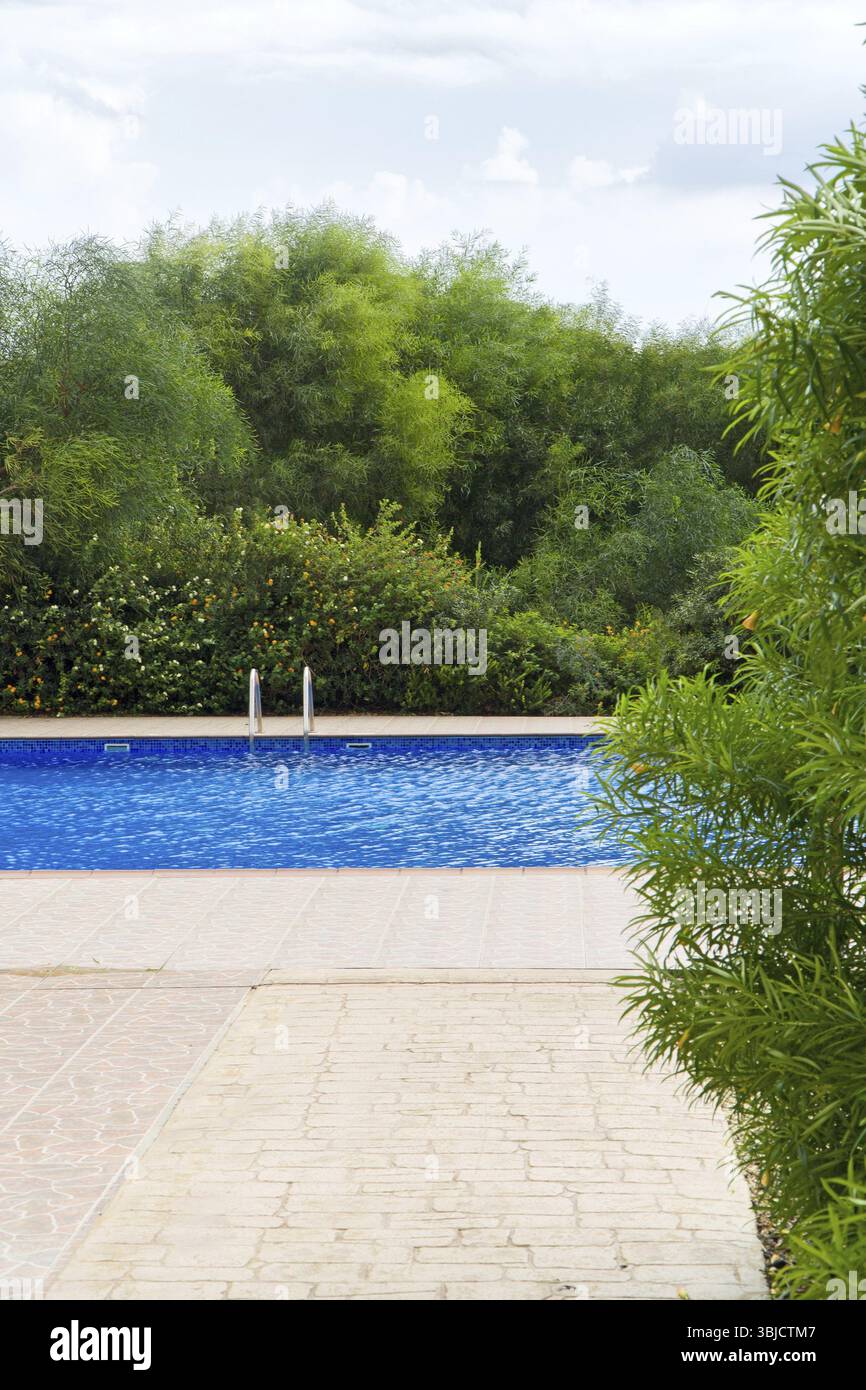 Swimmingpool (im Freien) im Sommer Stockfoto