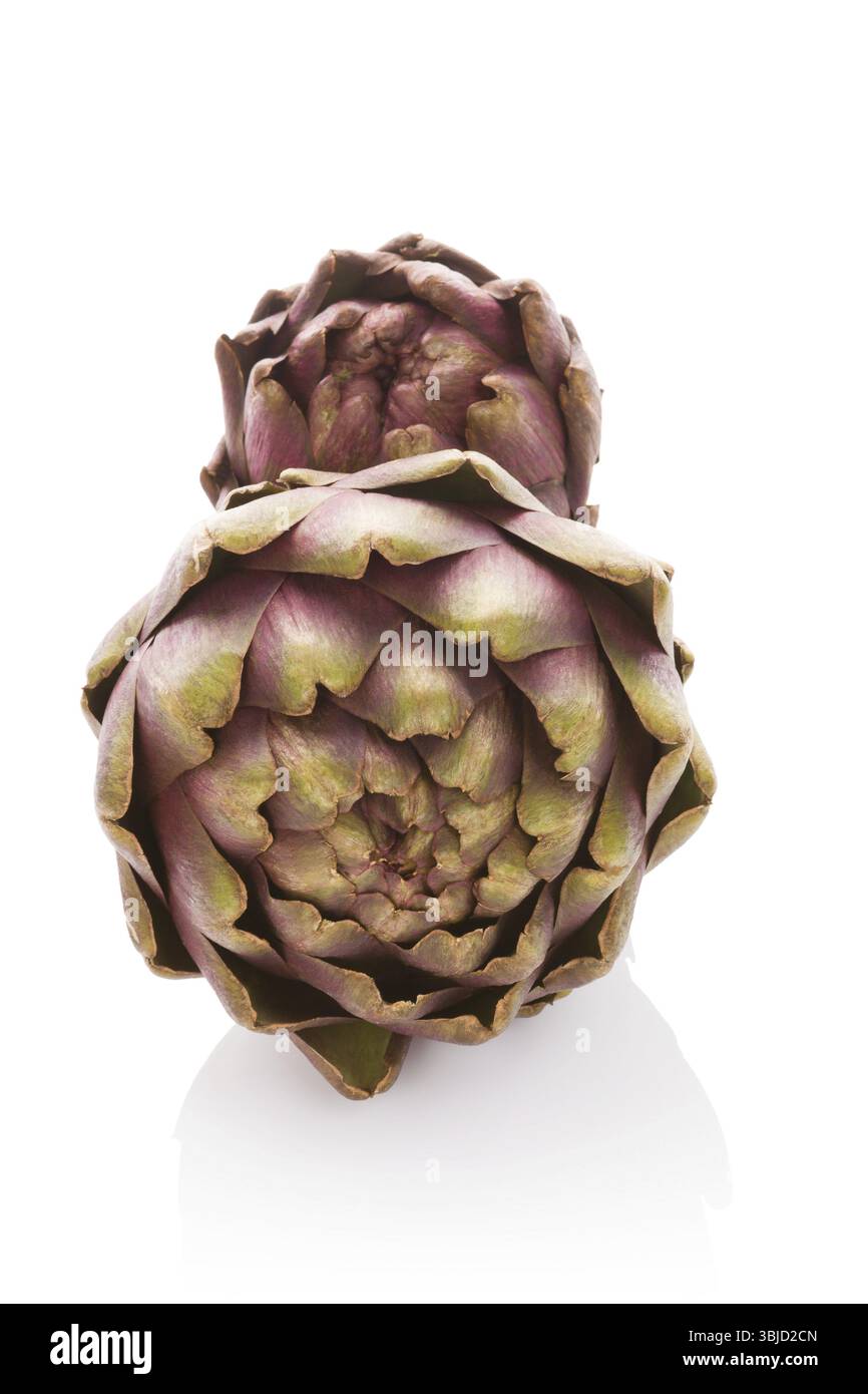 Artischocke isoliert auf weißem Hintergrund. Kulinarische Kunst, gesunde Ernährung, frisches Gemüse Stockfoto