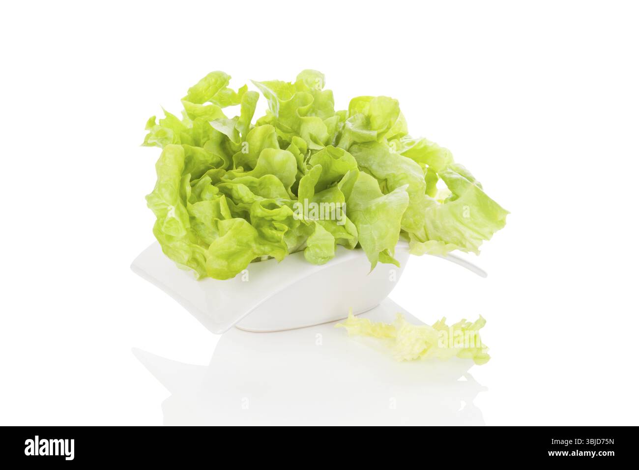 Frischer grüner Salat in weißer Schüssel isoliert auf weißem Hintergrund. Frische gesunde Sommeressen. Kulinarische Kunst. Moderne minimale Bildsprache Stockfoto