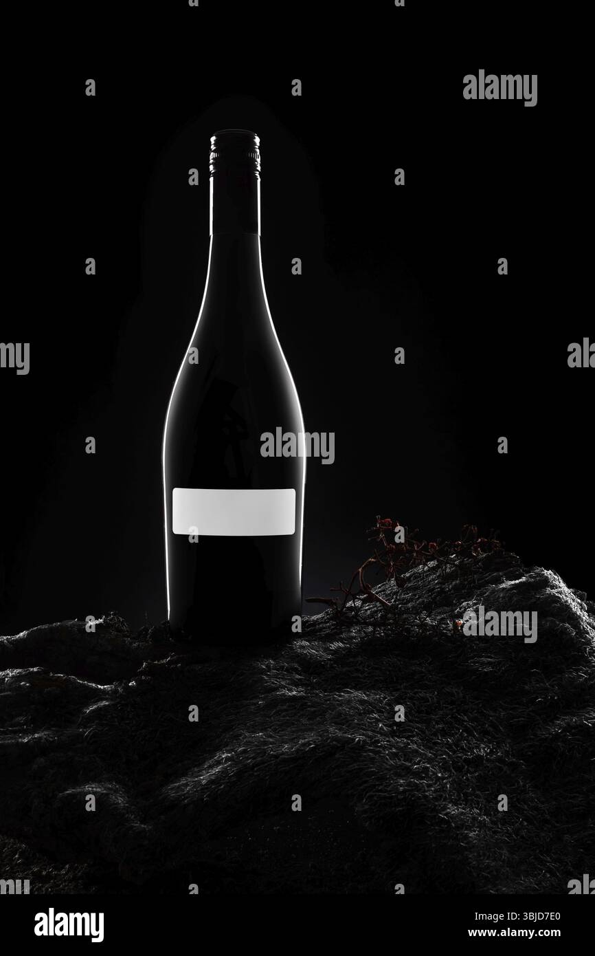 Silhouette der Weinflasche mit leerem Etikett auf Moos. Dramatisches Licht Stockfoto