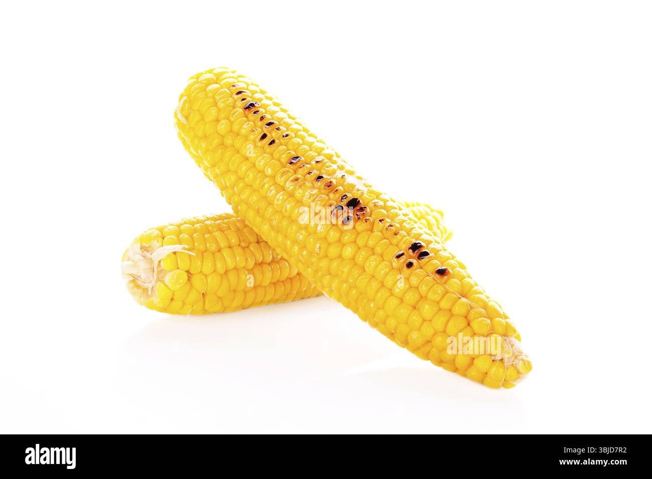 Gekochter und gerösteter Mais, isoliert auf weißem Hintergrund. Kulinarische vegetarische Küche Stockfoto