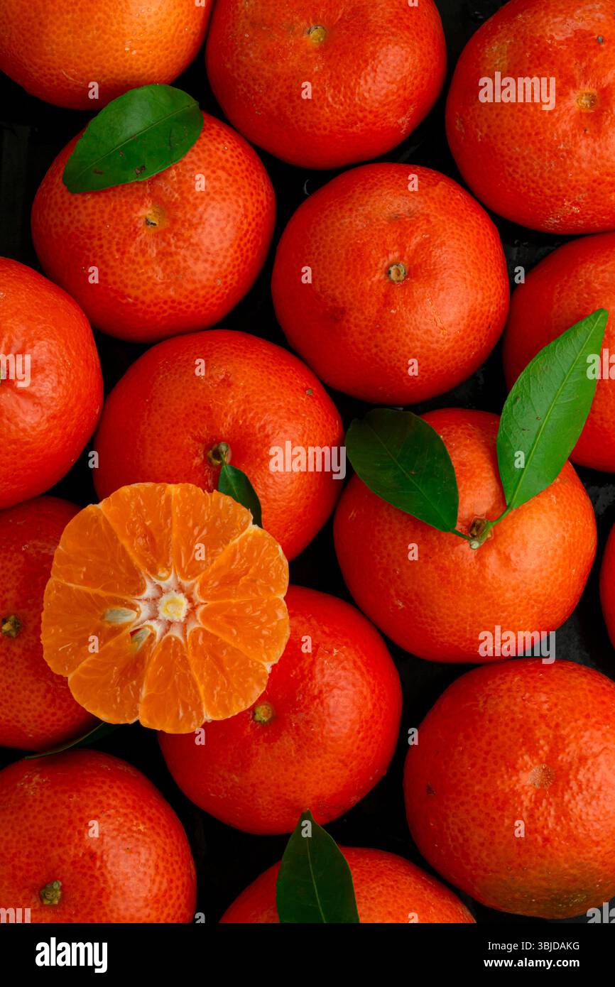 Mandarine, köstliche Zitrusfrüchte im Winter. Stockfoto