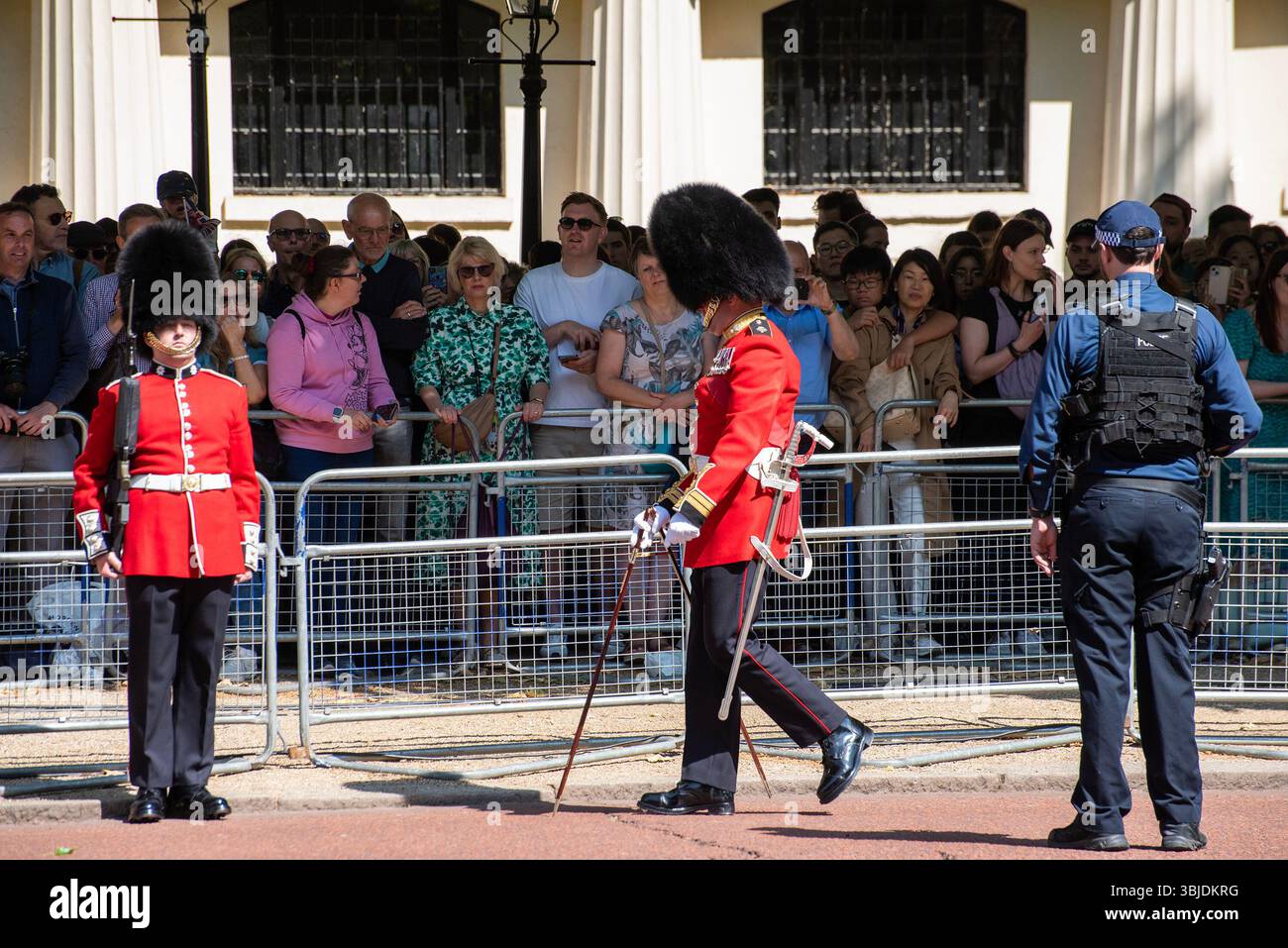 London, Großbritannien. Juni 2025. Ein Offizier der irischen Garde benutzt einen Pace-Stick, um den richtigen Abstand zwischen den Soldaten vor der Militärparade zu machen. The Trooping the Colour ist eine jährliche Militärparade auf der Mall in London. Während der Parade feiert das Volk seit über 260 Jahren den Staatsgeburtstag des Monarchen im Juni. Quelle: SOPA Images Limited/Alamy Live News Stockfoto
