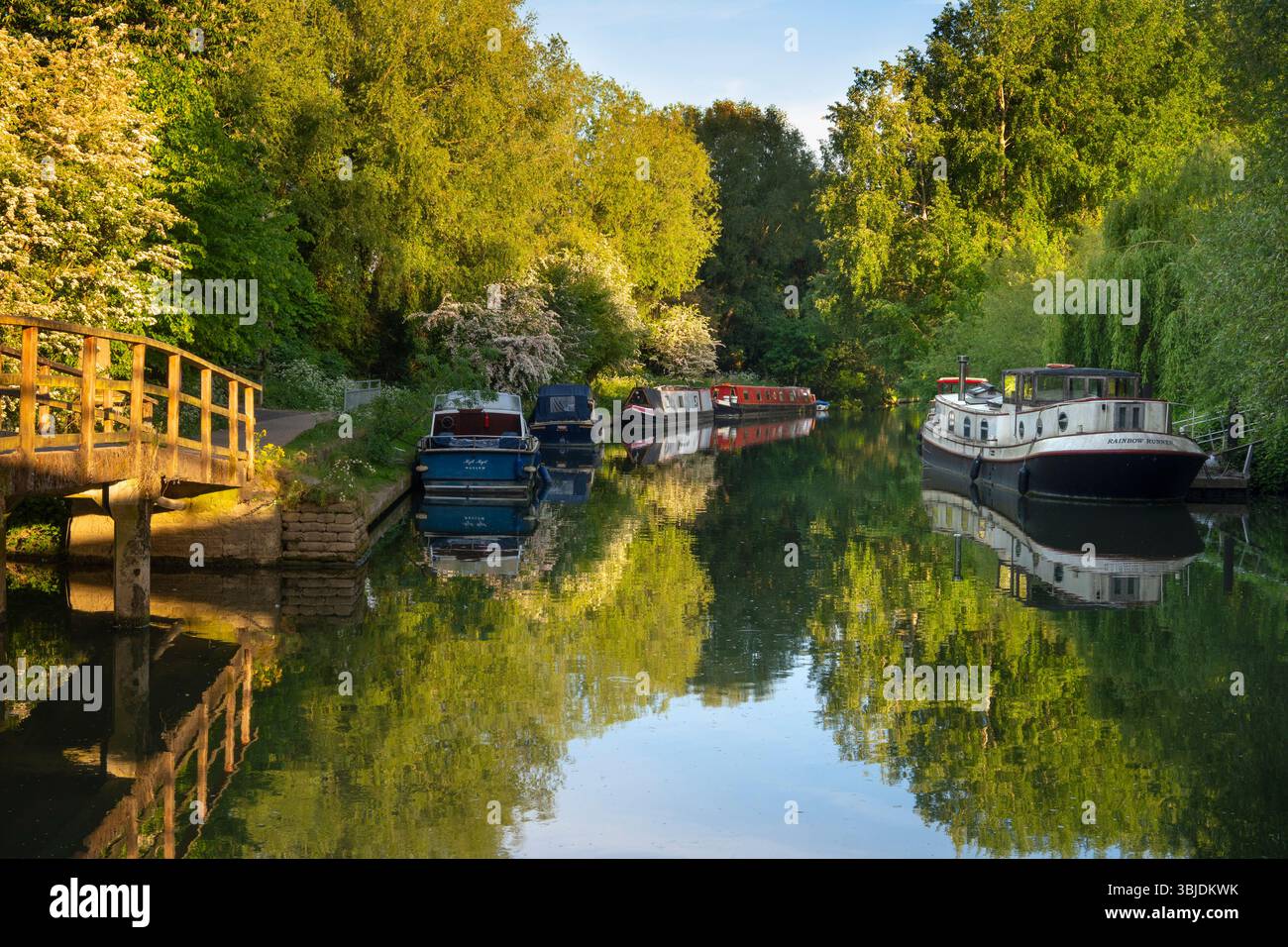 Hausboote und Freizeitboote liegen an einem schönen Frühlingsmorgen auf der Themse in Oxford, direkt flussaufwärts der Folly Bridge und in der Nähe von Osney Lock. P Stockfoto
