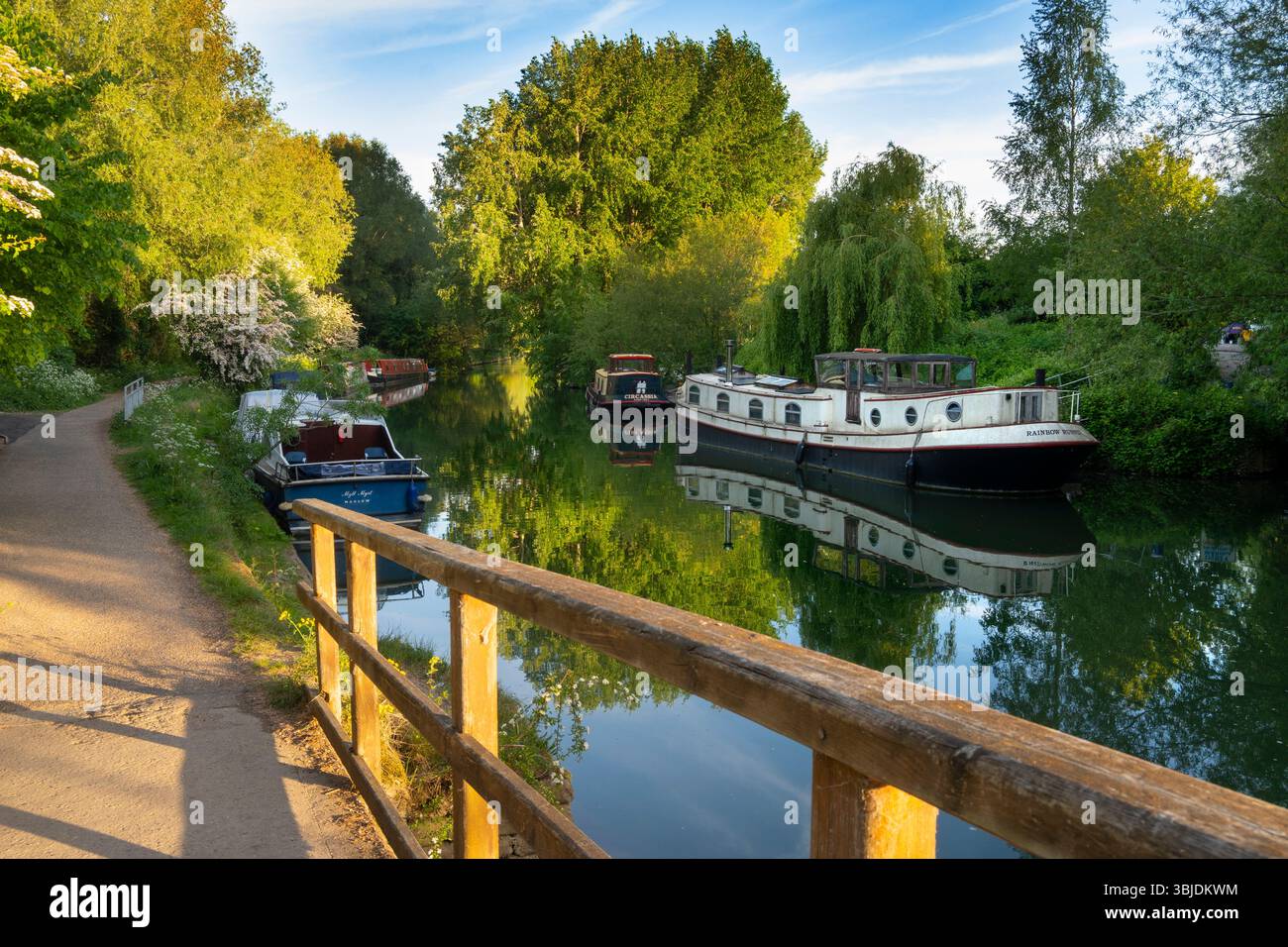 Hausboote und Freizeitboote liegen an einem schönen Frühlingsmorgen auf der Themse in Oxford, direkt flussaufwärts der Folly Bridge und in der Nähe von Osney Lock. P Stockfoto