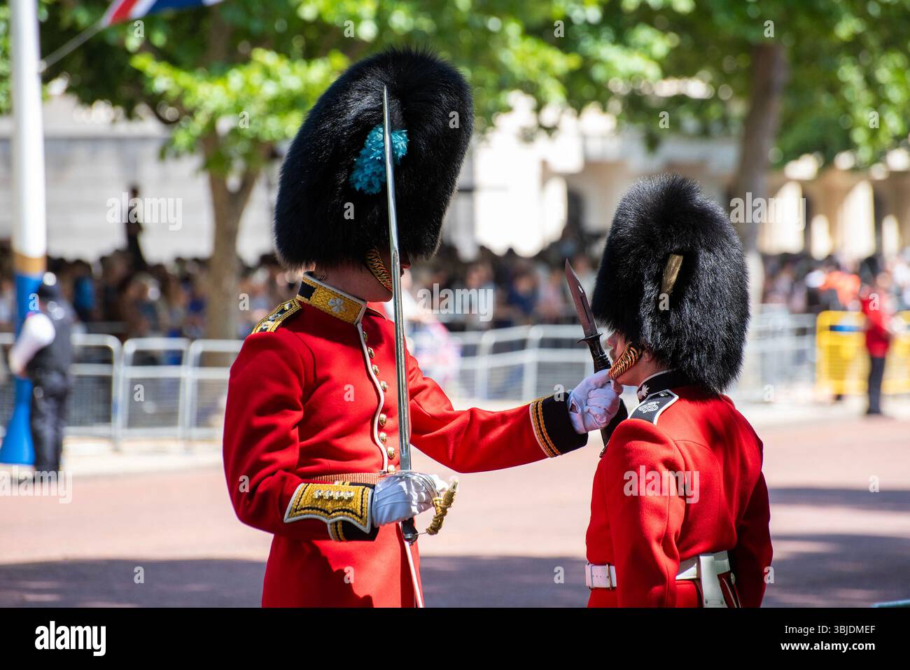 London, Großbritannien. Juni 2025. Ein Offizier der irischen Garde untersucht den Soldatenhut vor der Militärparade. The Trooping the Colour ist eine jährliche Militärparade auf der Mall in London. Während der Parade feiert das Volk seit über 260 Jahren den Staatsgeburtstag des Monarchen im Juni. (Foto: Krisztian Elek/SOPA Images/SIPA USA) Credit: SIPA USA/Alamy Live News Stockfoto