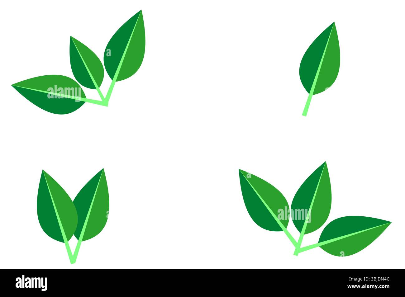 Satz von grünen Blättern Symbol und grafischem Vektor isoliert auf weißem Hintergrund, Ökologie Illustration durch Baum Pflanze Blatt mit Kopierraum für Text Stock Vektor