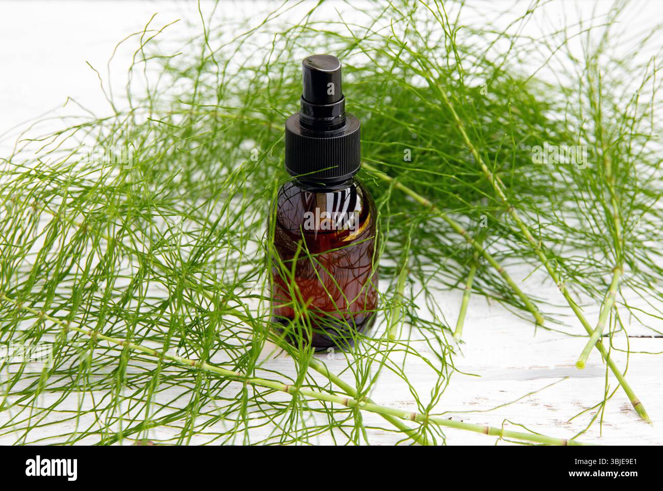 Natürliches pflanzliches Heilmittel namens Equisetum arvense der Schachtelhalm oder gewöhnliche Schachtelhalmtinktur in brauner Glasflasche. Pflanzenzweige verstreut Stockfoto