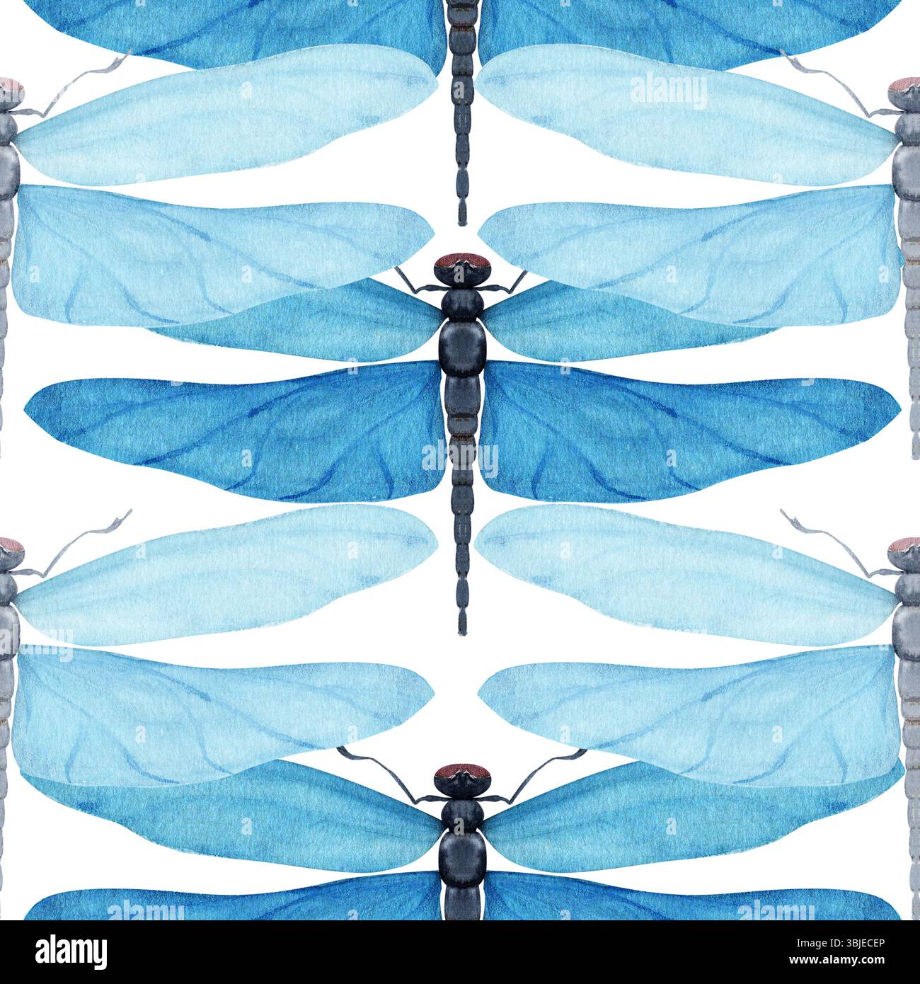 Blaue Libelle mit durchscheinenden Flügeln, nahtloses Aquarellmuster isoliert auf weiß. Ideal für Branding, Verpackung, umweltfreundliches Design, Schreibwaren Stockfoto