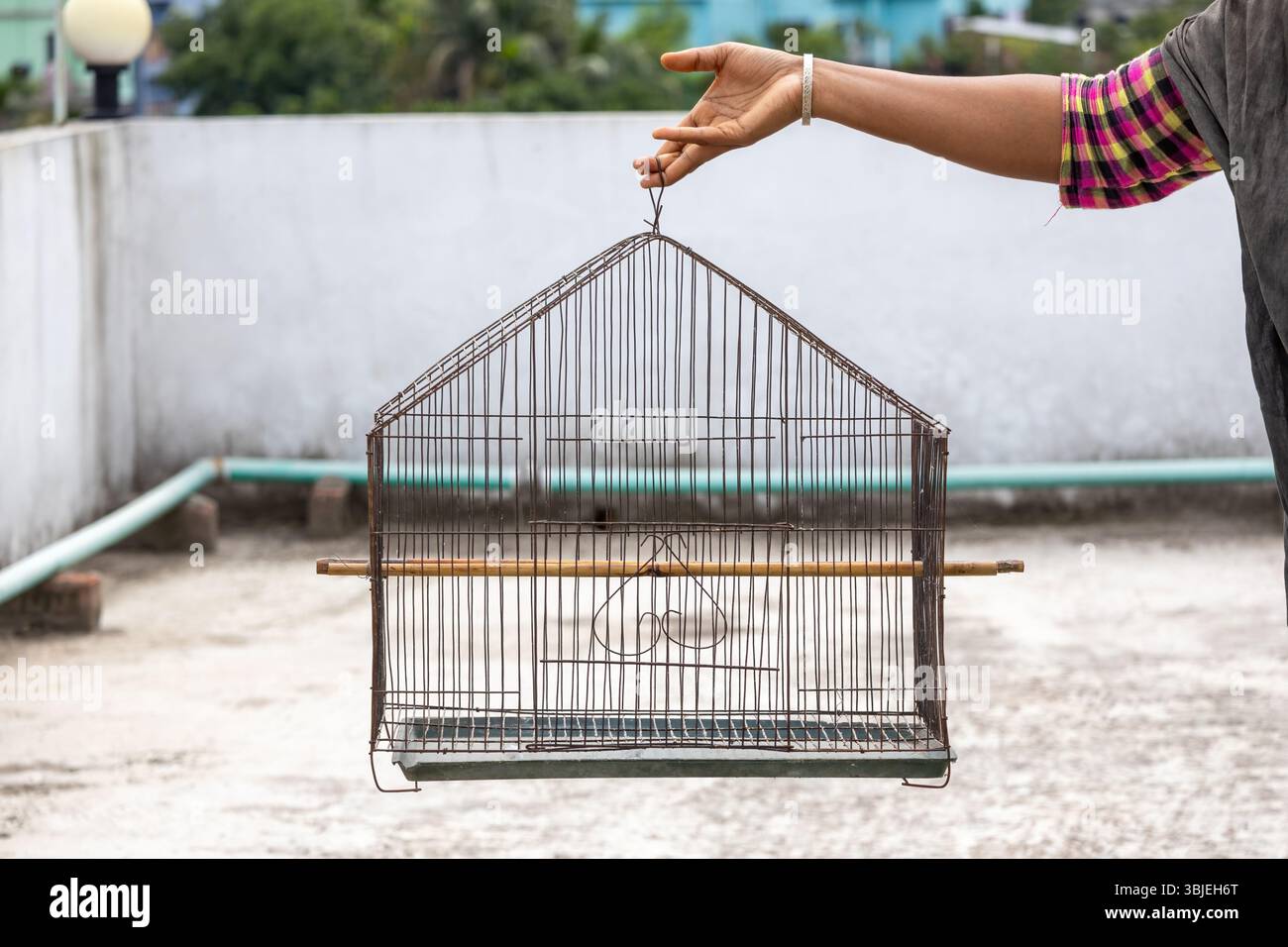 Weibliche Hand, die einen leeren Vogelkäfig hält. Freiheitskonzept, verlorenes Haustier, Traurigkeit, Einsamkeit oder Verlassenheit. Stockfoto