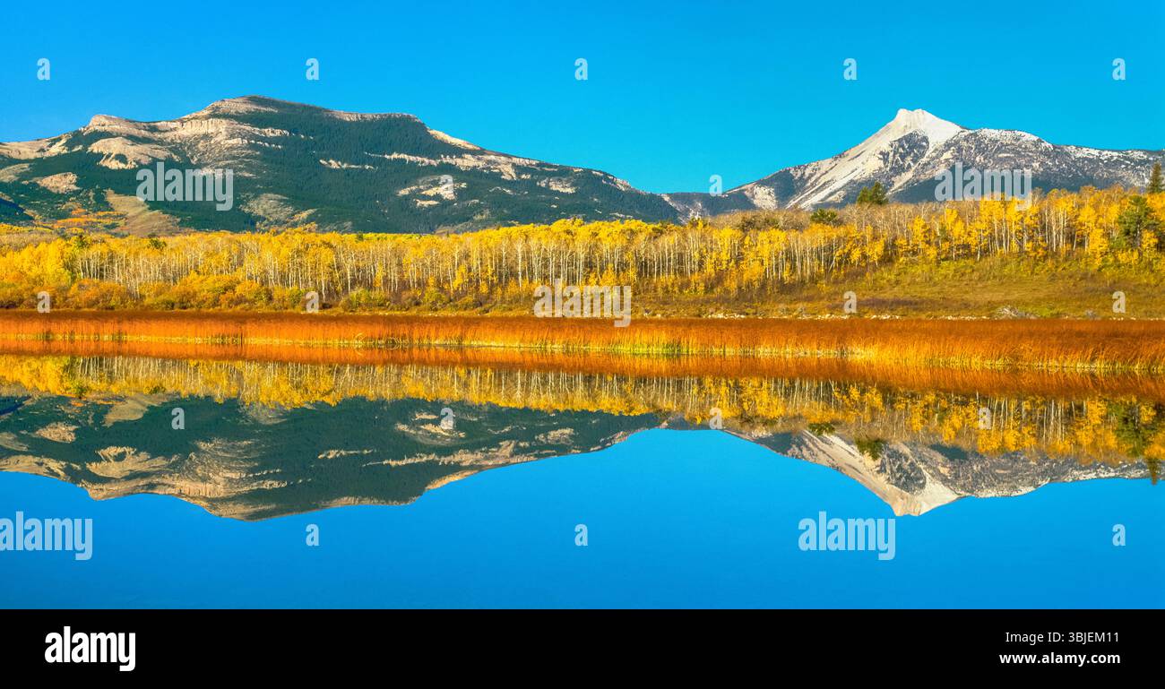 Panorama der Herbstfarben unter den großen Stahlrückgraden und dem Federwoman-Berg entlang der vorderen Gebirgskette, die sich in einem Feuchtgebiet in der Nähe von Heart butte, montana, widerspiegelt Stockfoto