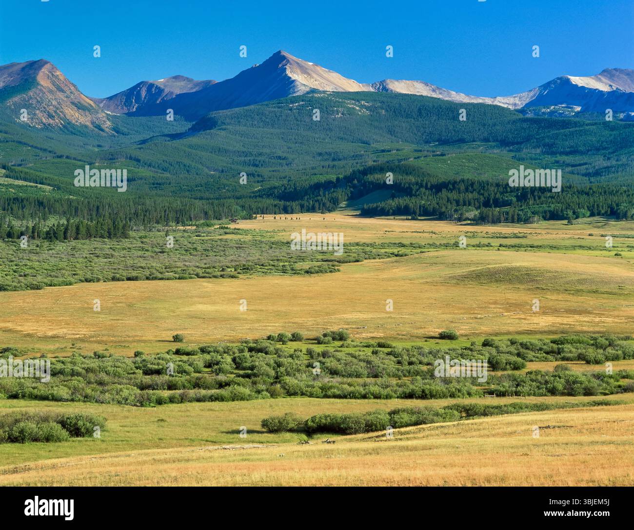 In einem großen Tal im Mount haggin Wildlife Management Area unterhalb der Anaconda Range in der Nähe von Anaconda, montana, treffen sich Uferzonen von Bächen Stockfoto
