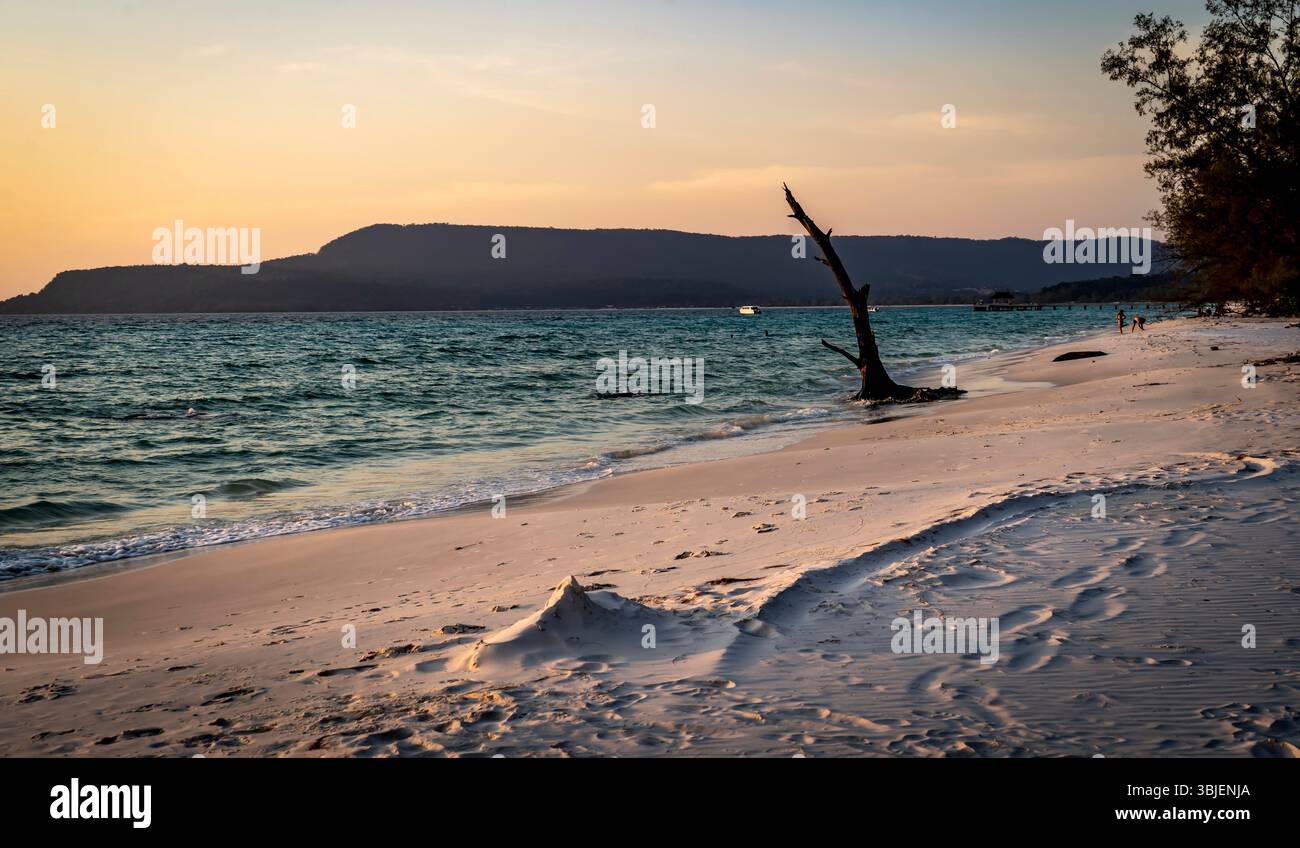 Eine ruhige Strandszene bei Sonnenuntergang mit sanften Wellen am Ufer, einem einsamen Baum im Sand und fernen Hügeln unter einem warmen Himmel. Stockfoto