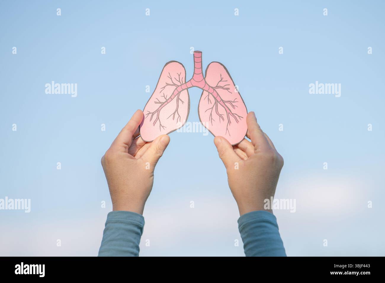 Lunge Mit Krebszellen, Luftverschmutzung Konzept, Tuberkulose Krankheit, Kein Tabak Tag, Organspende Stockfoto