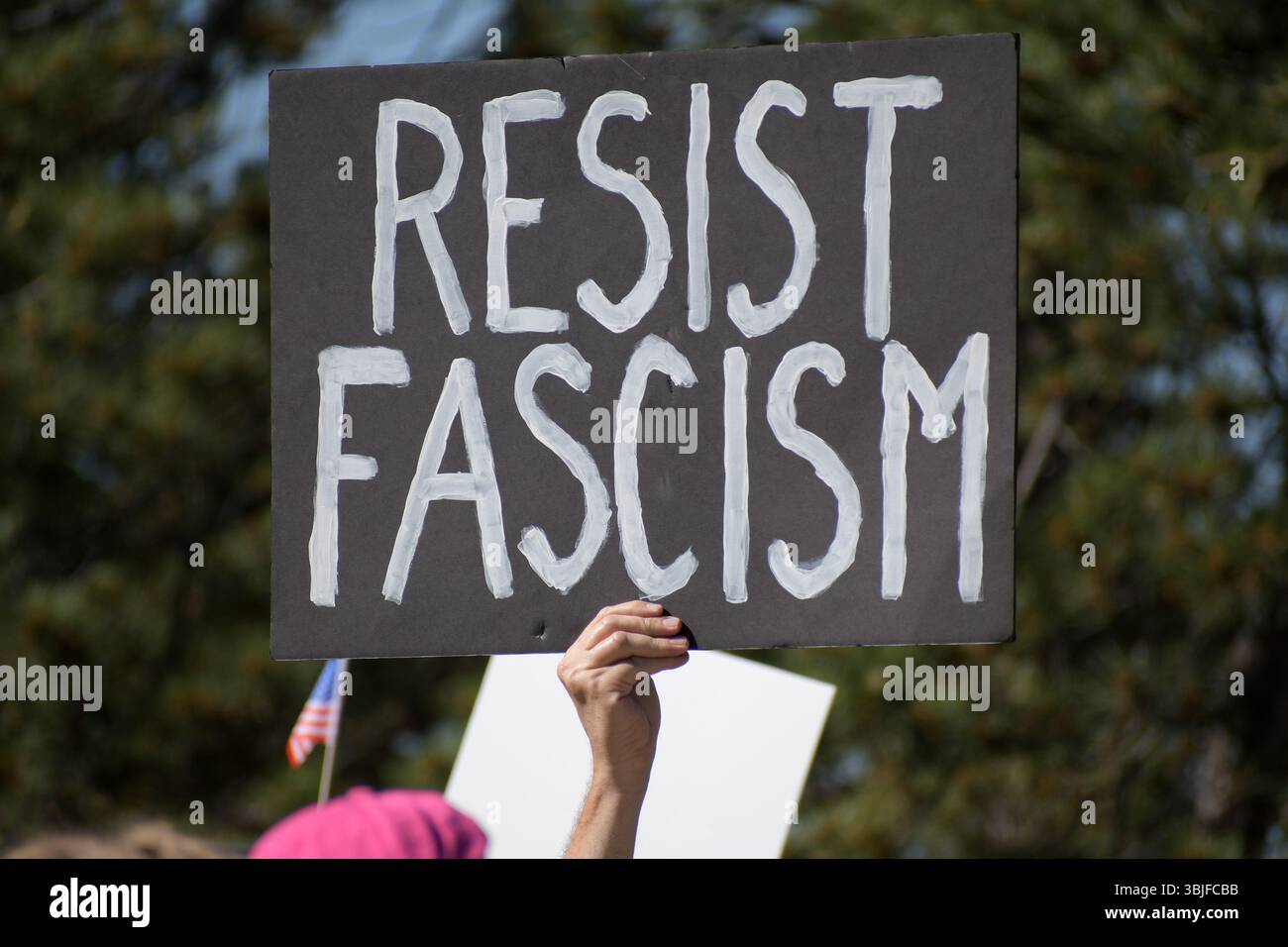 Salt Lake City, Utah – 14. Juni 2025: Demonstranten versammeln sich auf der Marriott Library Plaza, University of Utah, während des „No Kings“-Protestes für Demokratie. Stockfoto