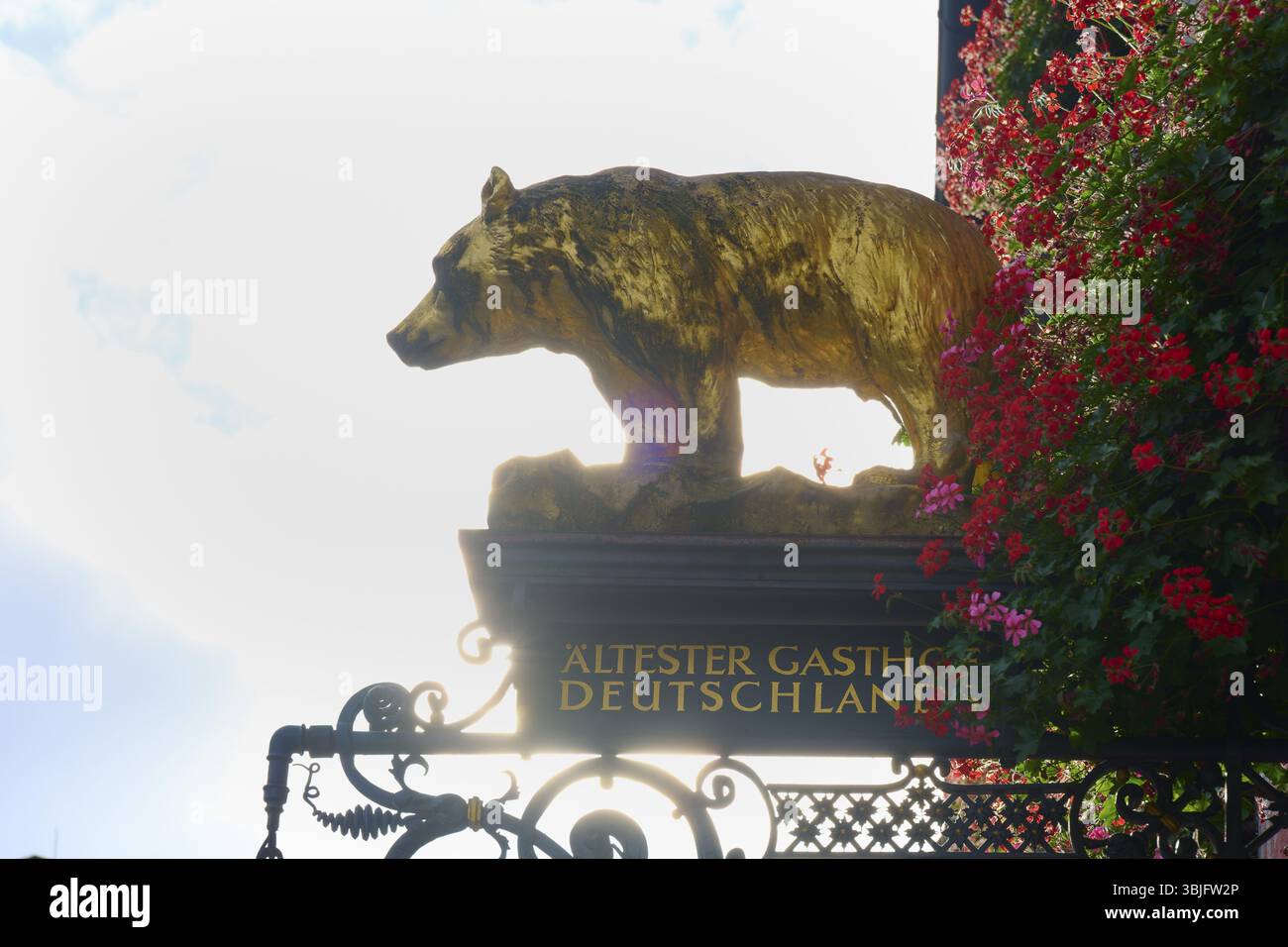 Eine goldene Bärenskulptur über einem historischen Zeichen, Deutschlands ältestes gasthaus, Freiburg im Breisgau, Schwarzwald, Baden-Württemberg, Deutschland, Europa Stockfoto