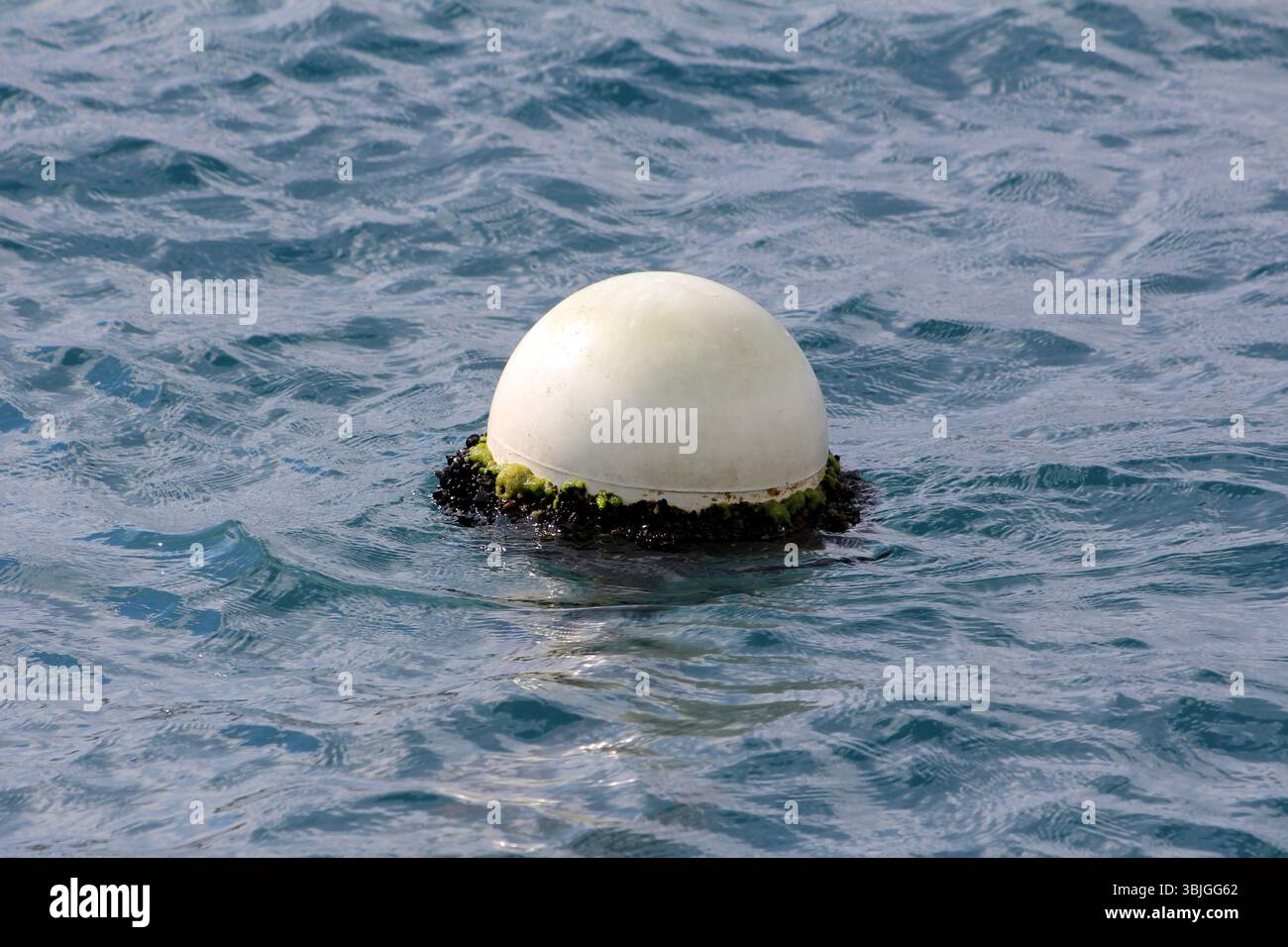 Die runde weiße Anlegeboje, teilweise mit grünen Algen und Nakeln bedeckt, schwimmt auf sanft plätscherndem blauem Wasser und markiert einen Anlegeplatz in einem ruhigen Meer Stockfoto