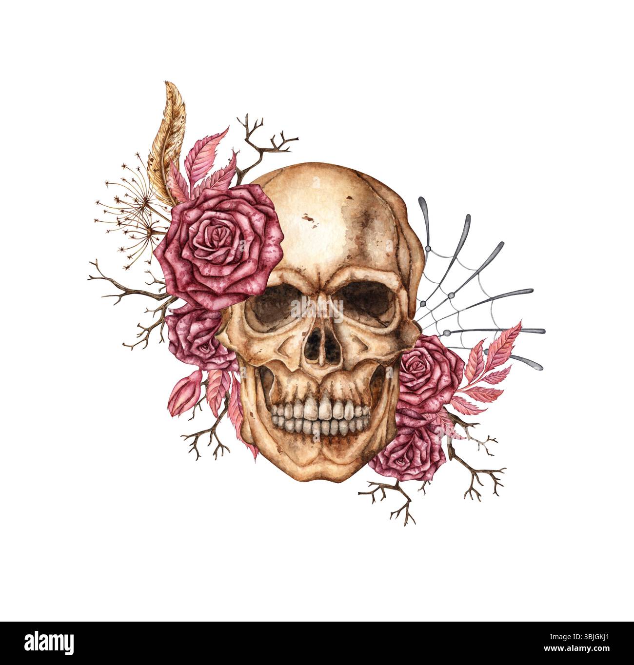 Schädelgesicht mit dunkelroten Rosen, getrockneten Blumen, Zweigen und Spinnweben Aquarellillustration. Knochen im gotischen Stil. Tag der Toten, Halloween, Dia de Stockfoto