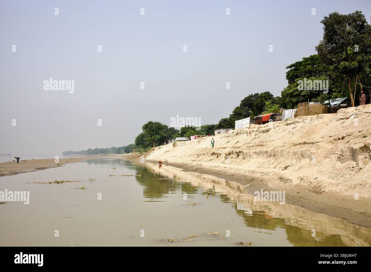 Starke Erosion entlang des Madhumati River in Kushtia, Bangladesch, wo sich informelle Häuser an exponierten Ufern Klammern. Stockfoto
