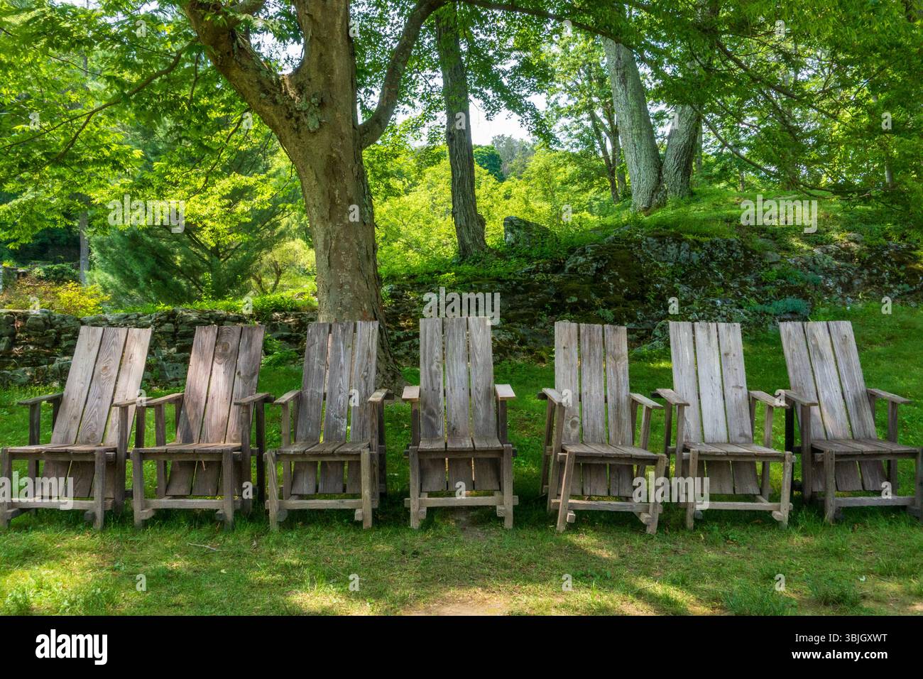 Millbrook, NY - USA 13. Juni 2025 sechs verwitterte Adirondack-Holzstühle sitzen in einer Reihe unter dem Schatten eines großen Baumes im Innisfree Garden mit Blick auf einen Stockfoto