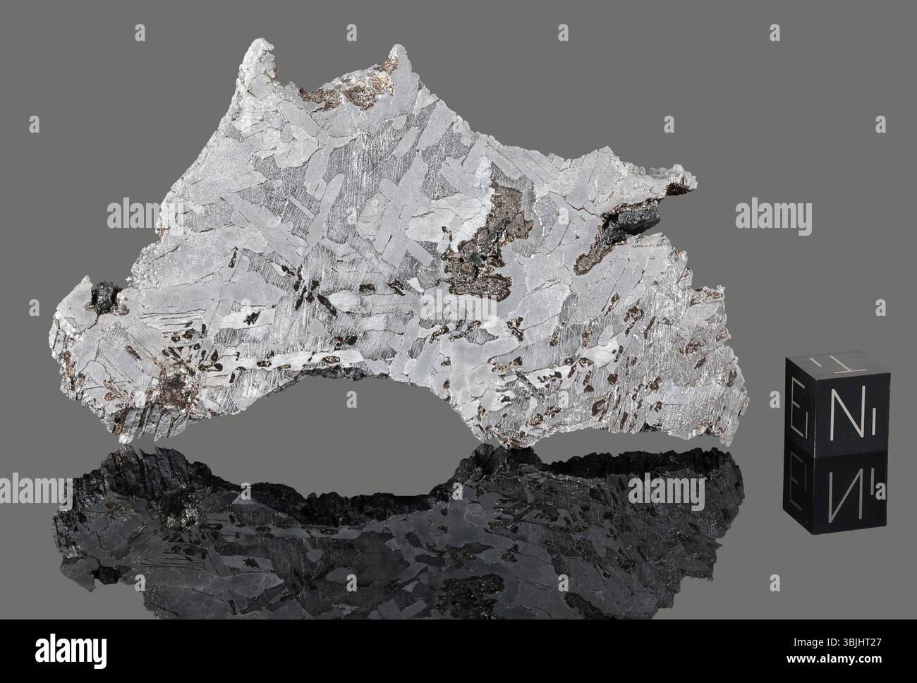 ODESSA - erholt 1922, Ector County, Texas, USA. Octhaedrit IAB-MG Siderit. Gesamtmasse 1,6 Tonnen. Slice gr.123,42 Stockfoto