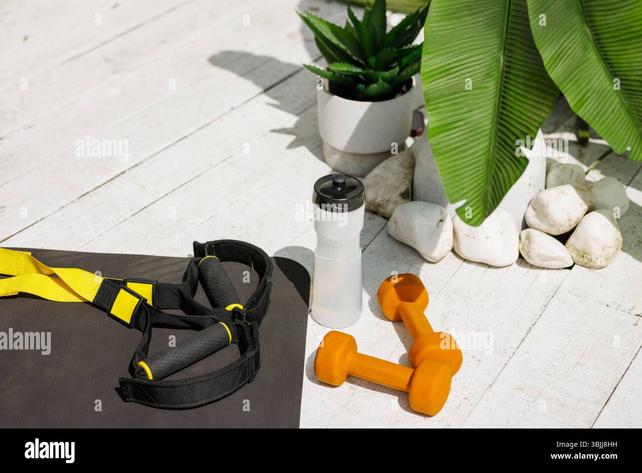 Outdoor Fitness Setup mit Widerstandsriemen, Kurzhanteln und Wasserflasche auf einer Matte zwischen tropischen Pflanzen, ideal für ein gesundes, aktives Leben. Stockfoto