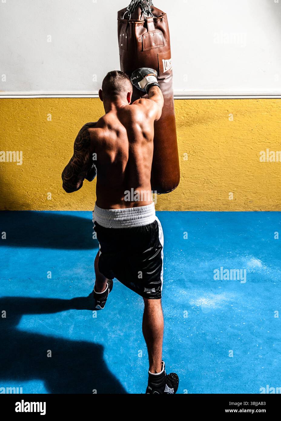 Ein muskulöser männlicher Boxer mit Tätowierungen auf dem linken Arm wird von hinten gezeigt, der mit einem Boxsack trainiert. Er trägt schwarze Boxshorts. Stockfoto