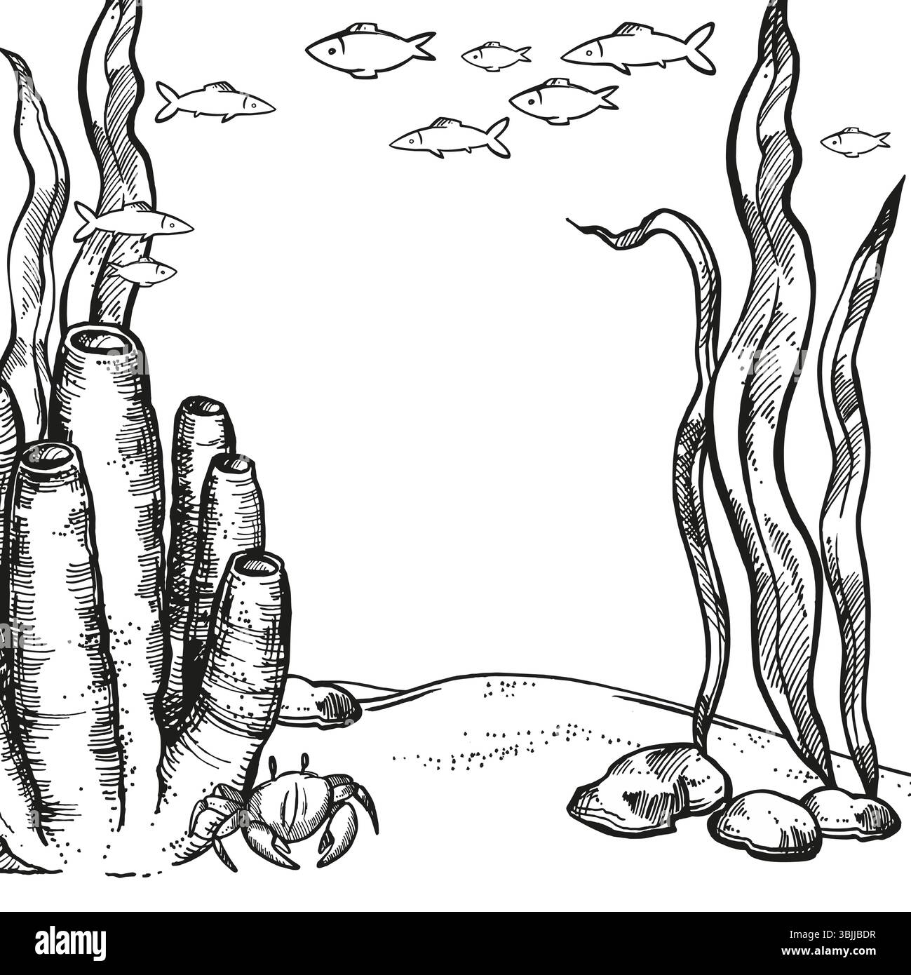 Vektorillustration des Meeresbodens, Bewohner der Tiefen, handgezeichnete Unterwasseralgen, Pflanzenzweige, röhrenförmige Schwammkorallen am Meeresgrund, Stock Vektor