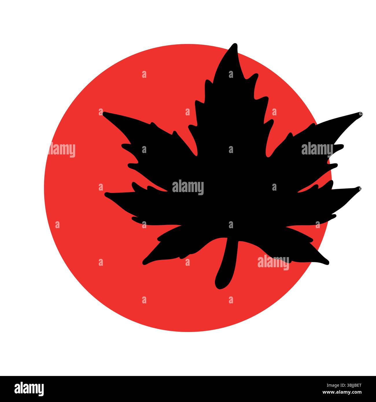 Eine Silhouette aus schwarzem Ahornblatt vor einem roten kreisförmigen Hintergrund. Das Design symbolisiert die Natur und Kanada und repräsentiert die herbstliche und kulturelle Identität. Stock Vektor