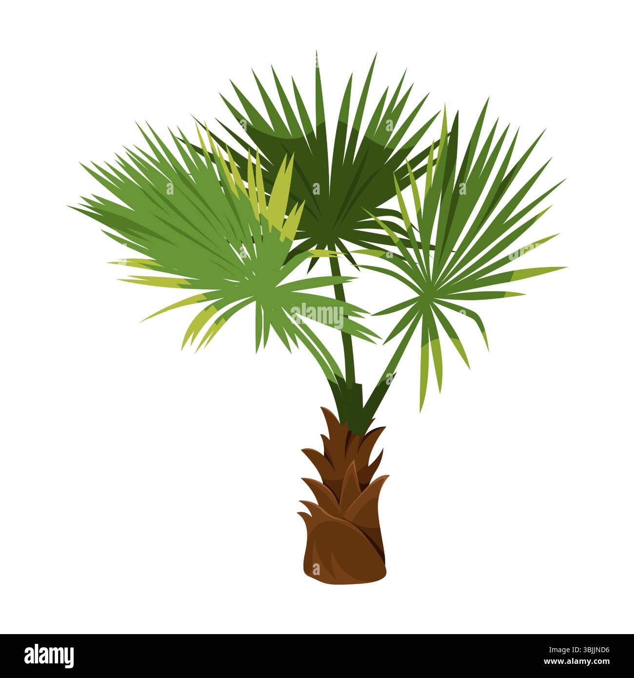 Isolierte Windmühle oder Chusanpalme. Vektor chinesischer oder indischer Baum oder trachycarpus fortunei. Symbol für die Landwirtschaft in Asien. Tropische Flora am Ufer oder Strand. Biologie und Botanik, exotische Landwirtschaft. Werk Japan. Stock Vektor