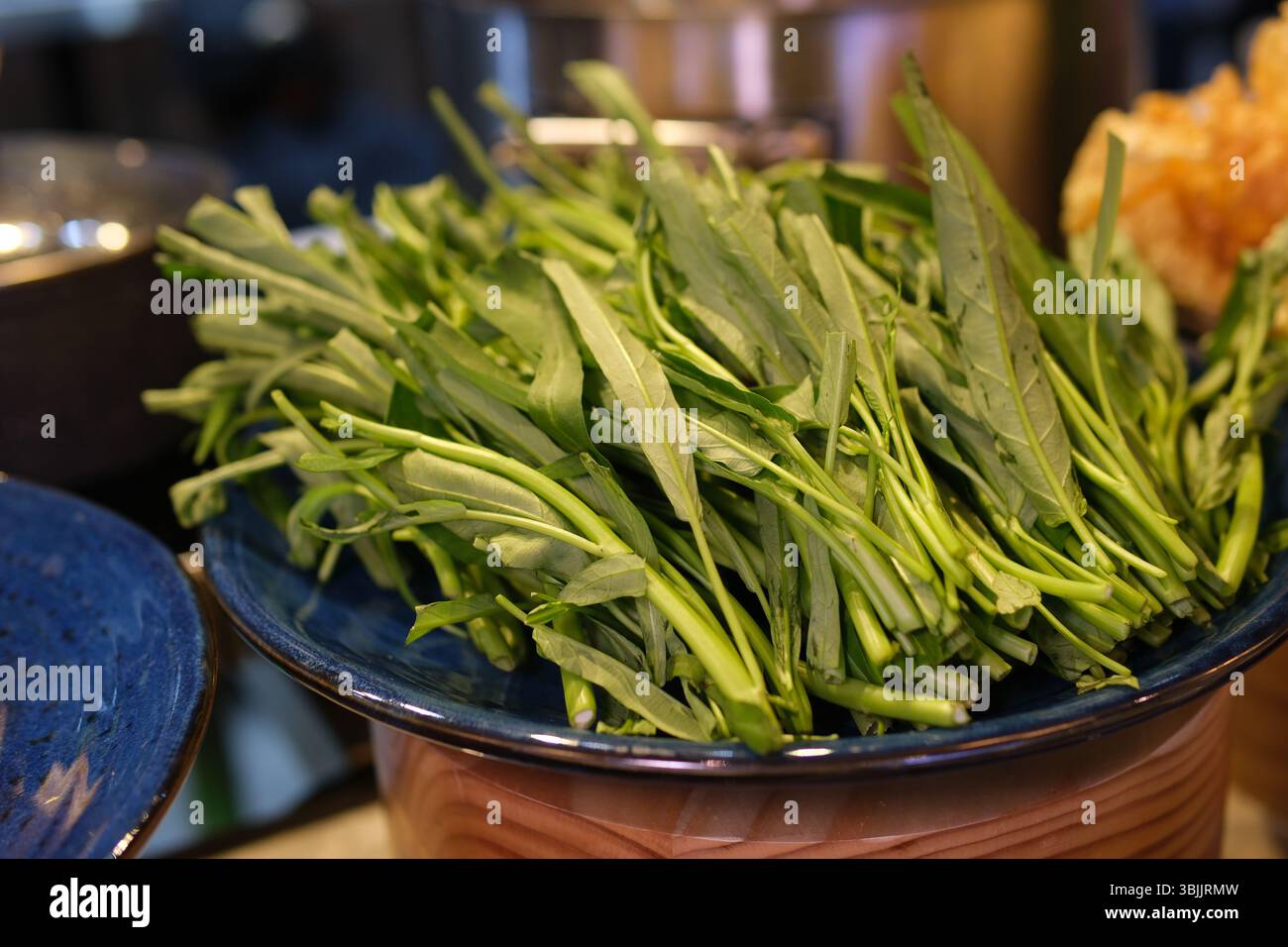 Frische Zutaten zeigen die Ernte frischer grüner Kräuter in einem Bio-Garten. Nachhaltige Landwirtschaft, einheimisches Gemüse, umweltfreundlicher Lebensstil und gesundes Lebensmittelkonzept. Hochwertige 4K-Aufnahmen Stockfoto
