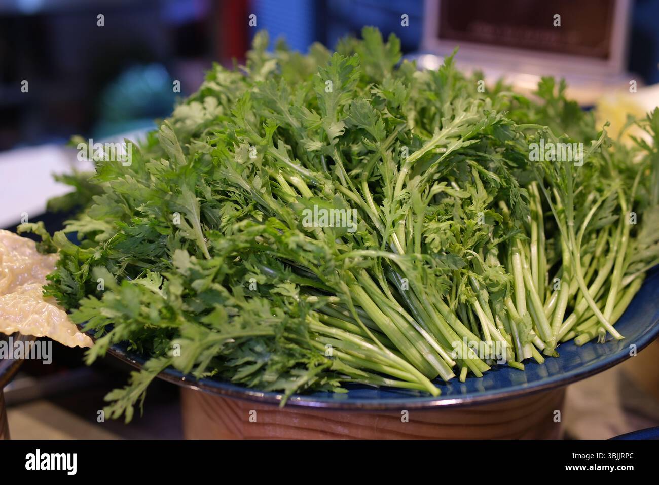 Frische Zutaten zeigen die Ernte frischer grüner Kräuter in einem Bio-Garten. Nachhaltige Landwirtschaft, einheimisches Gemüse, umweltfreundlicher Lebensstil und gesundes Lebensmittelkonzept. Hochwertige 4K-Aufnahmen Stockfoto