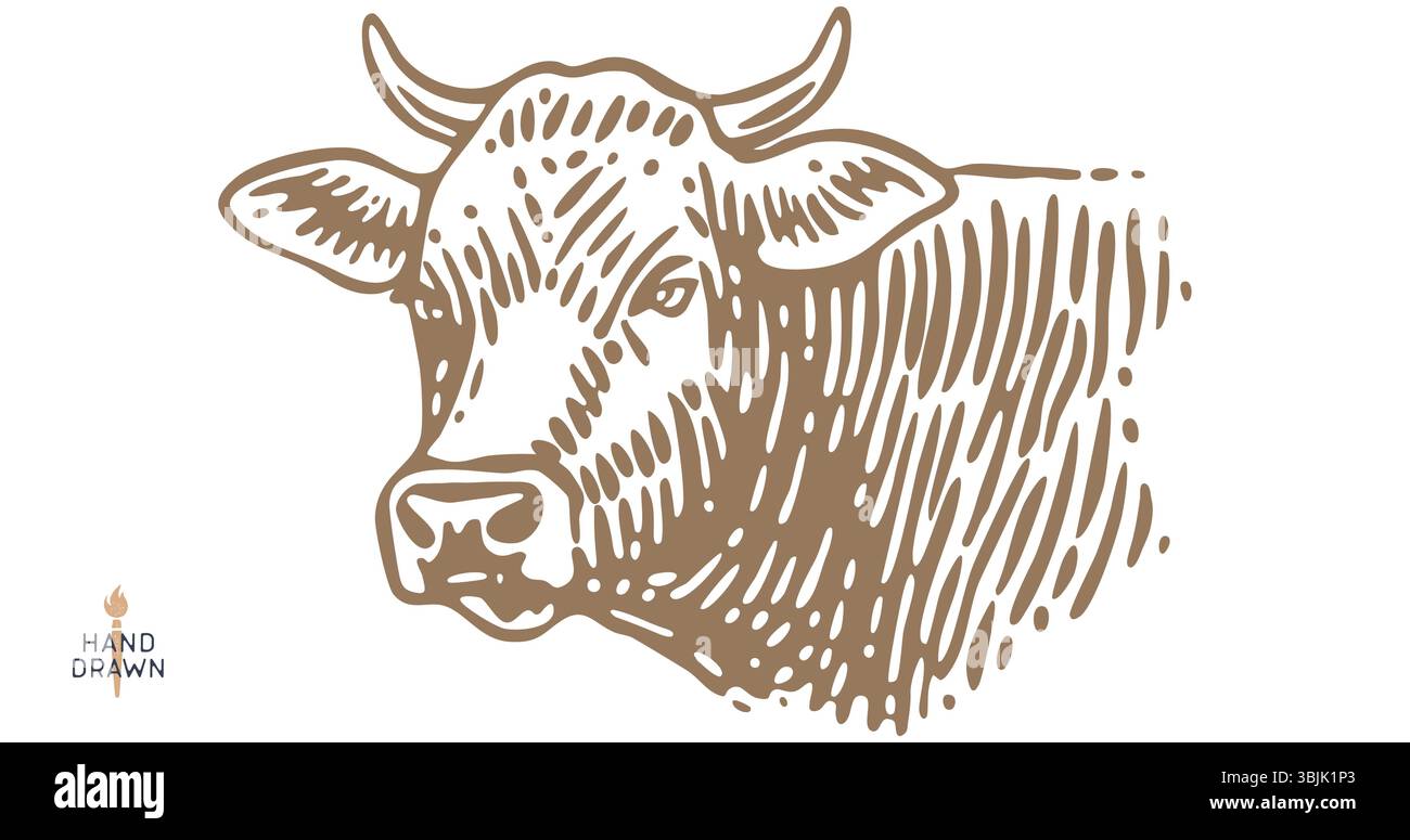 Kuhkopf, Stier, Rindfleisch. Retro-STYLE Stock Vektor
