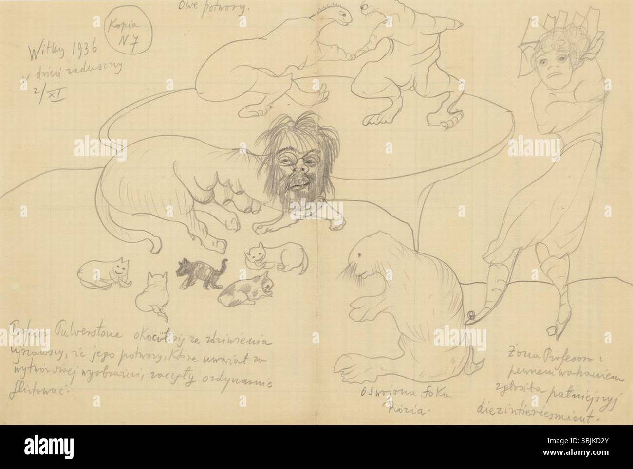 Diese Zeichnung mit dem Titel „Professor Pulverstone hatte ein Katzenstreu“ wurde von Witkiewicz im November 1936 angefertigt. Die Bleistiftskizze zeigt humorvoll einen Professor und seine Kätzchen. Stockfoto