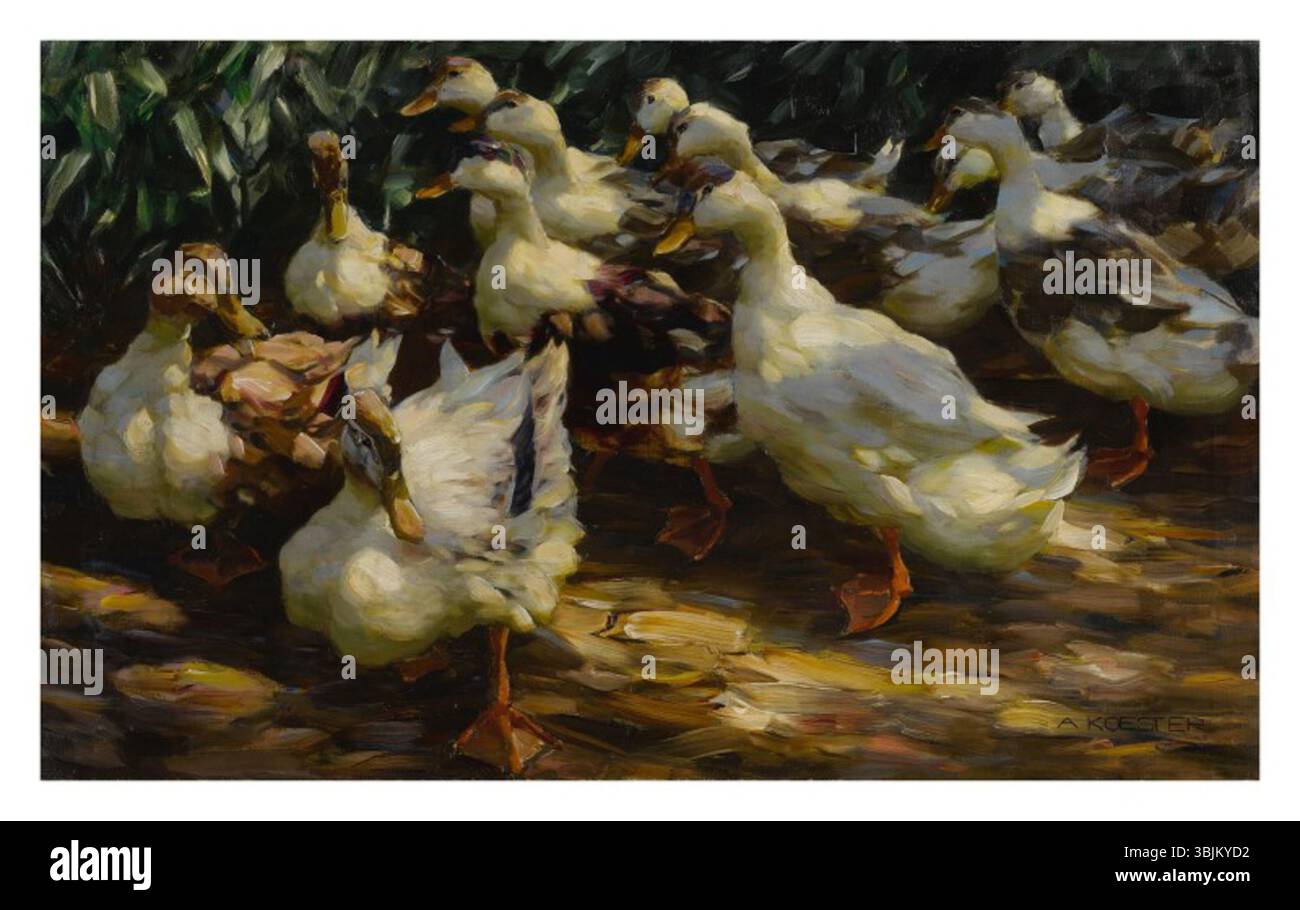 Alexander Koesters Ölgemälde auf Leinwand zeigt Enten, die von Sonnenlicht beleuchtet werden. Das Kunstwerk hebt die naturalistische Darstellung von Wasservögeln hervor, wobei Licht, Schatten und Textur berücksichtigt werden. Stockfoto